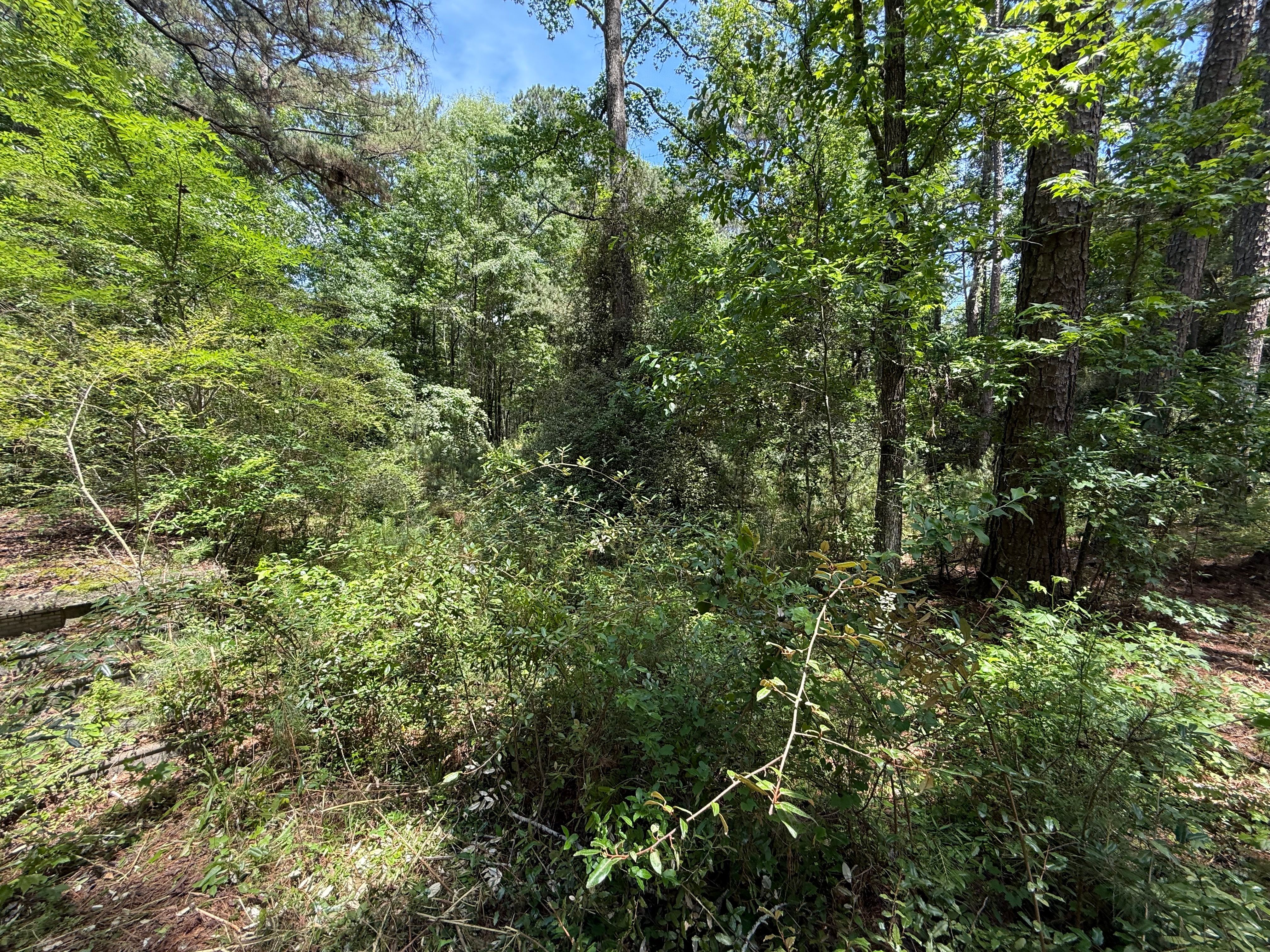  for Koelbl Site Works LLC in Fayetteville, GA