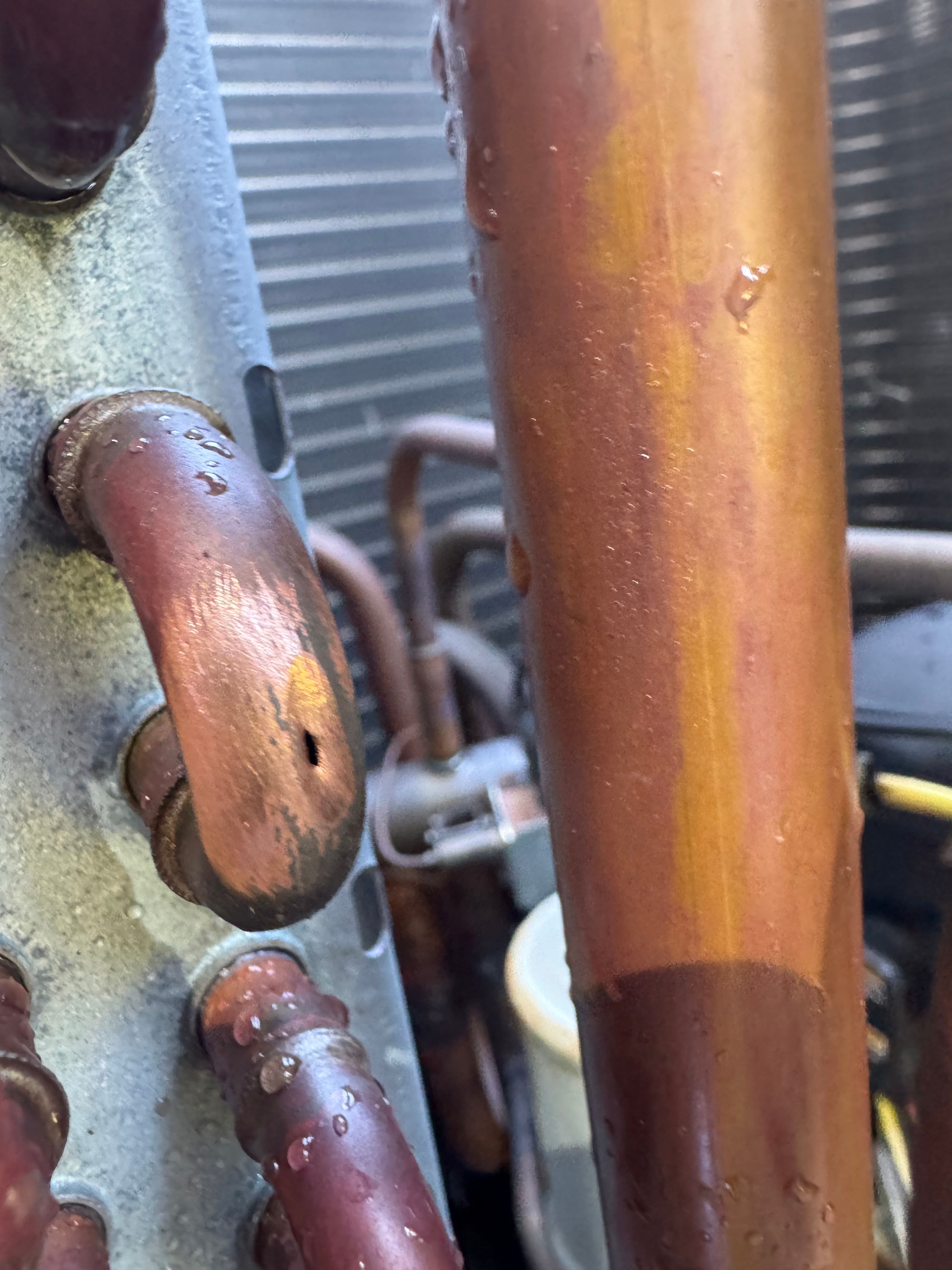  for College Grove Service Company in College Grove, TN