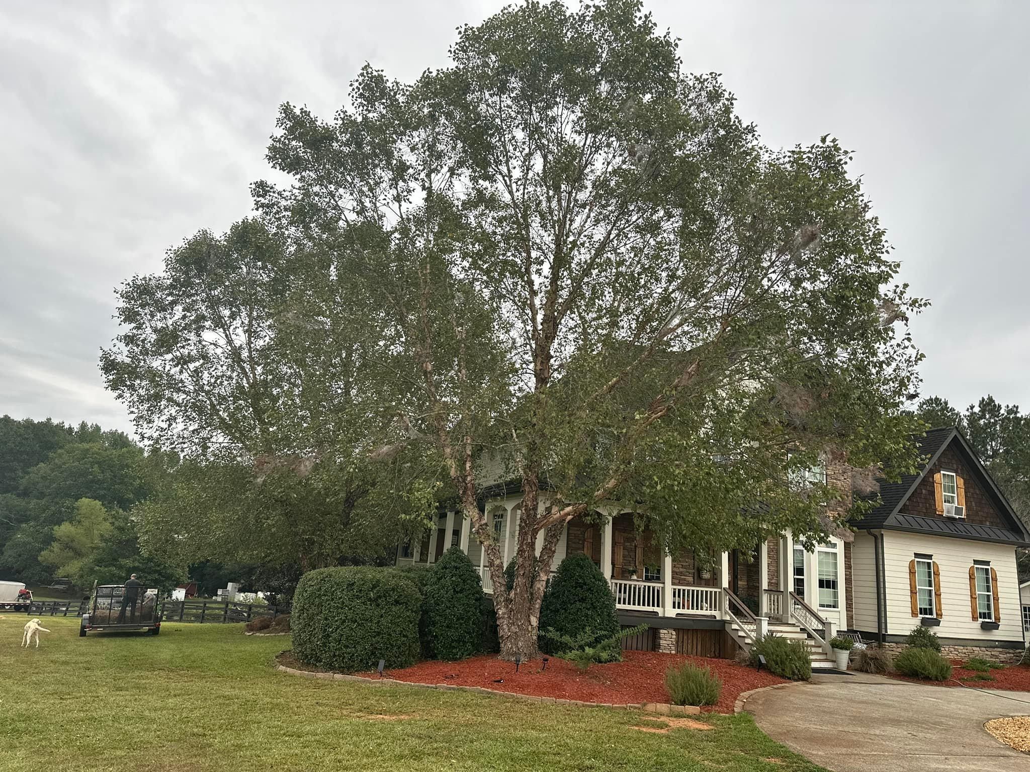 All Photos for Sexton Lawn Care in Jefferson, GA