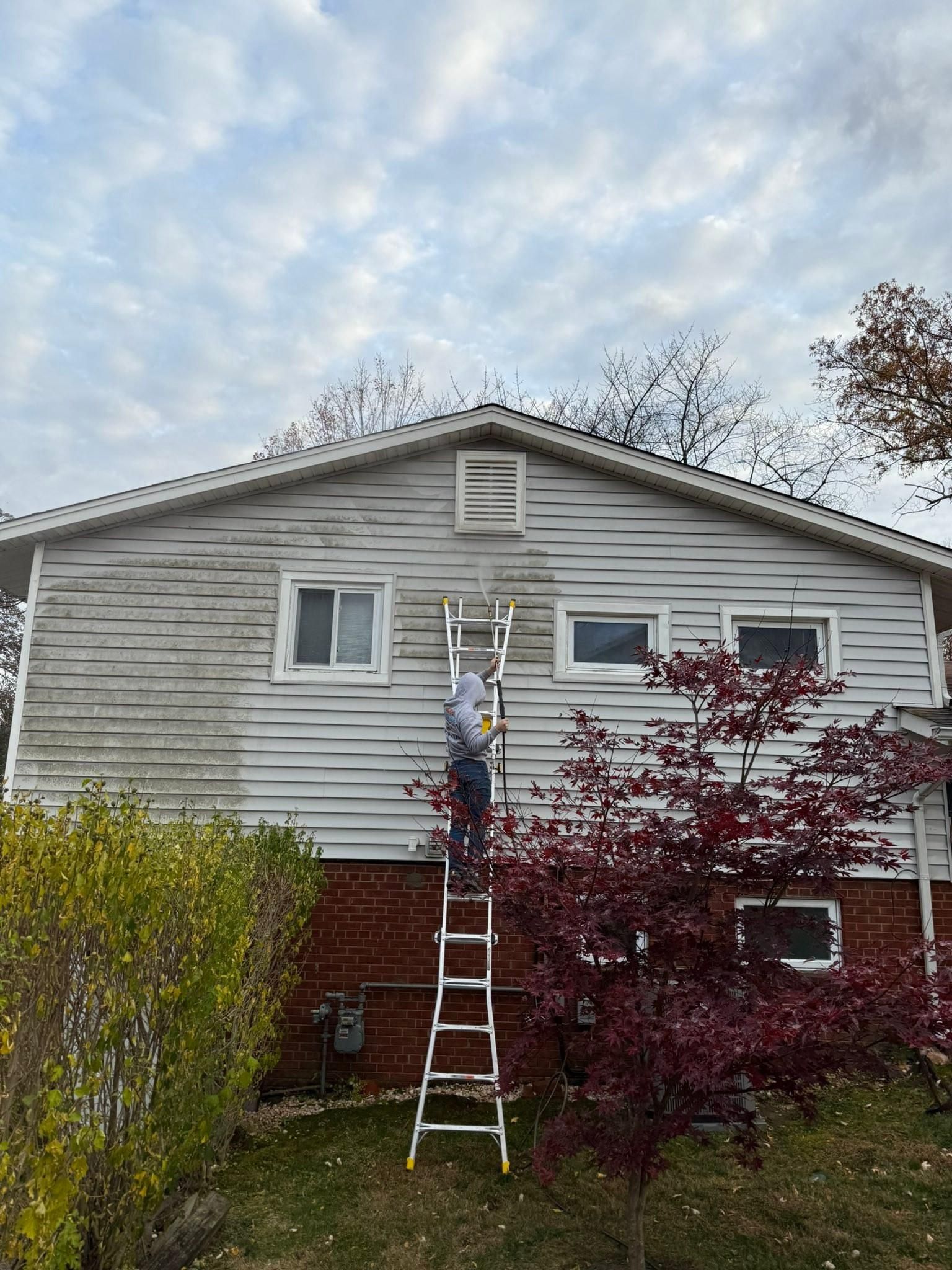  for Premier Tuckpointing Masonry Repairs in Arlington, VA