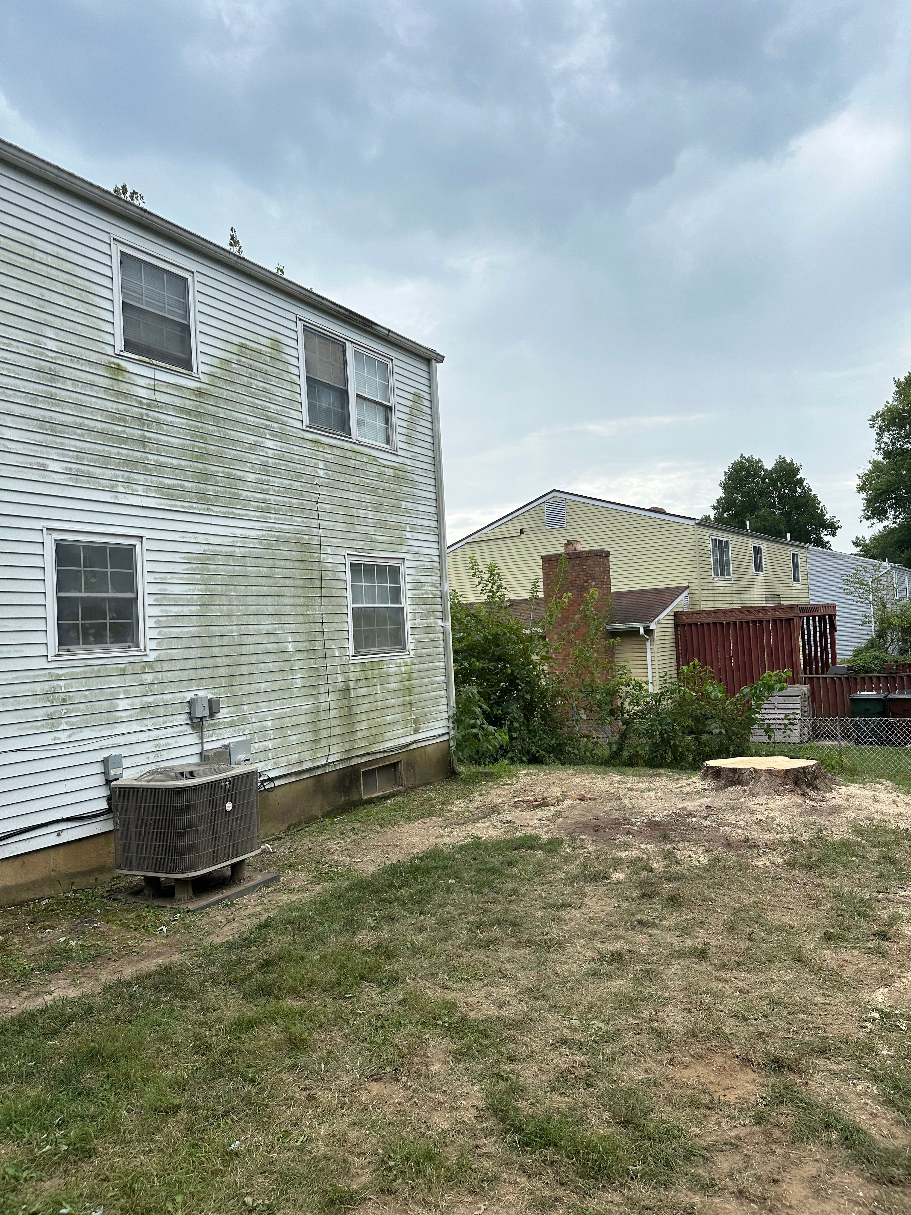 All Photos for Pro Tree Trim & Removal, Llc in Dayton, OH