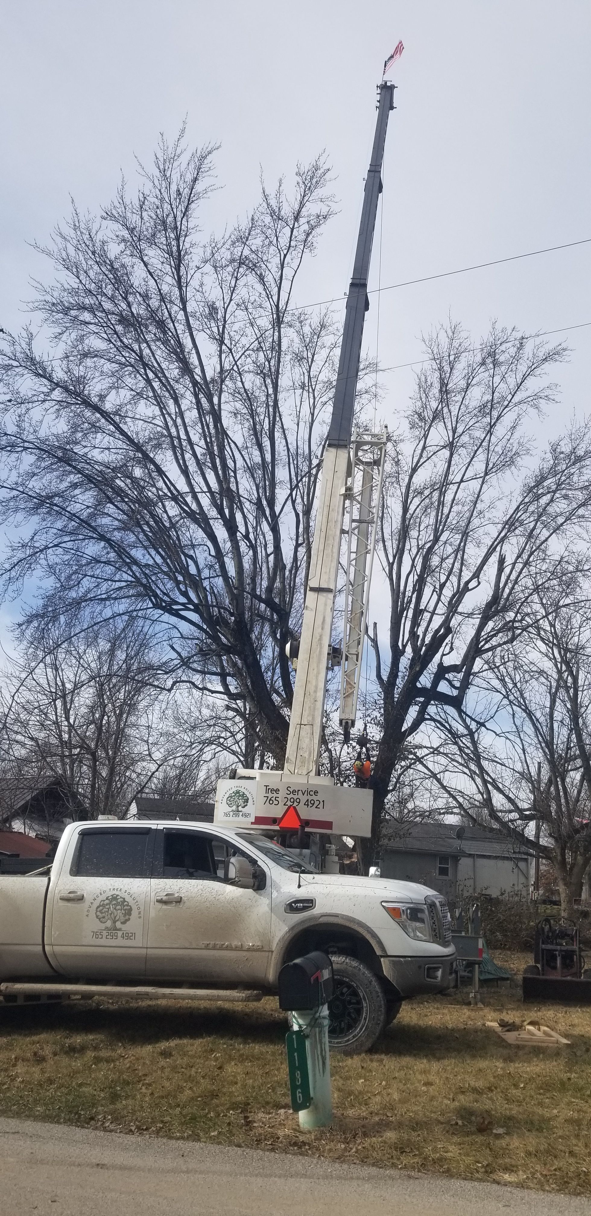  for Advanced Tree Solutions in Rockville, IN