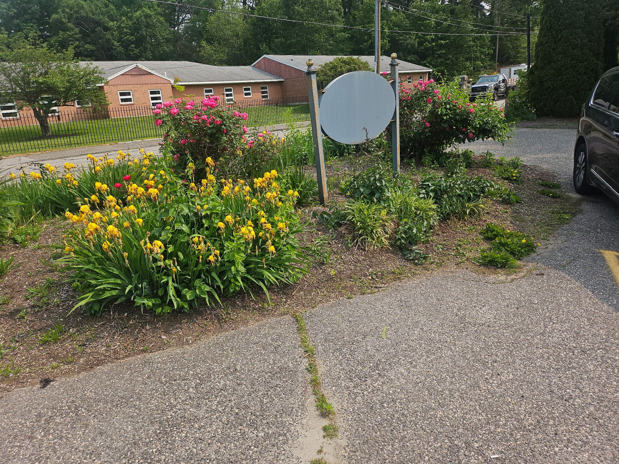 Flower & Tree Planting for Landscape Innovations LLC in Torrington, CT