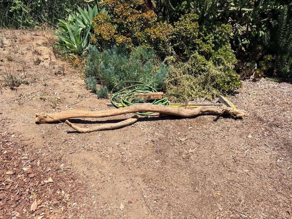  for Asphalt-Handyman in Fallbrook, CA