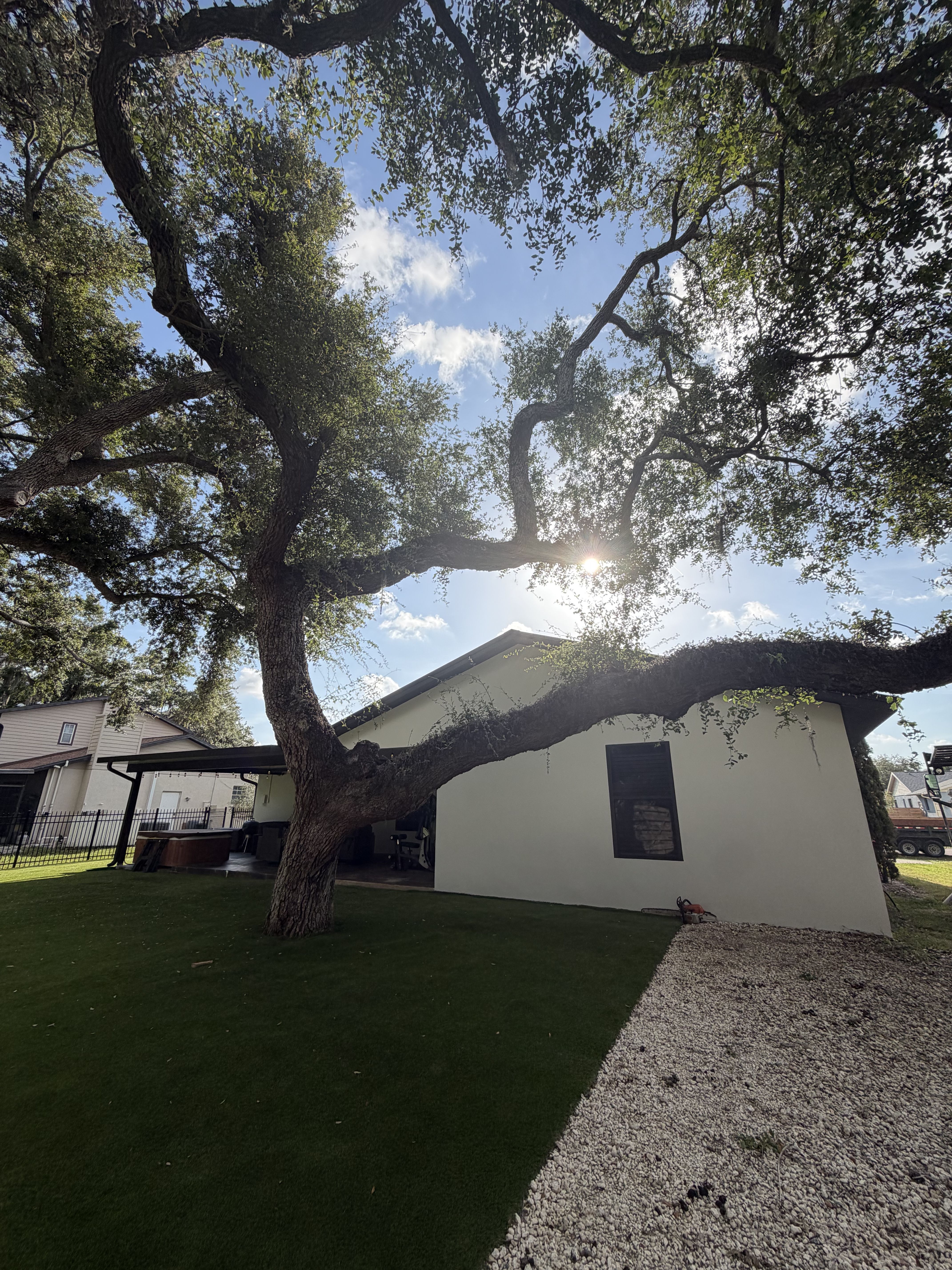  for Damian’s Tree Care in Sarasota, FL
