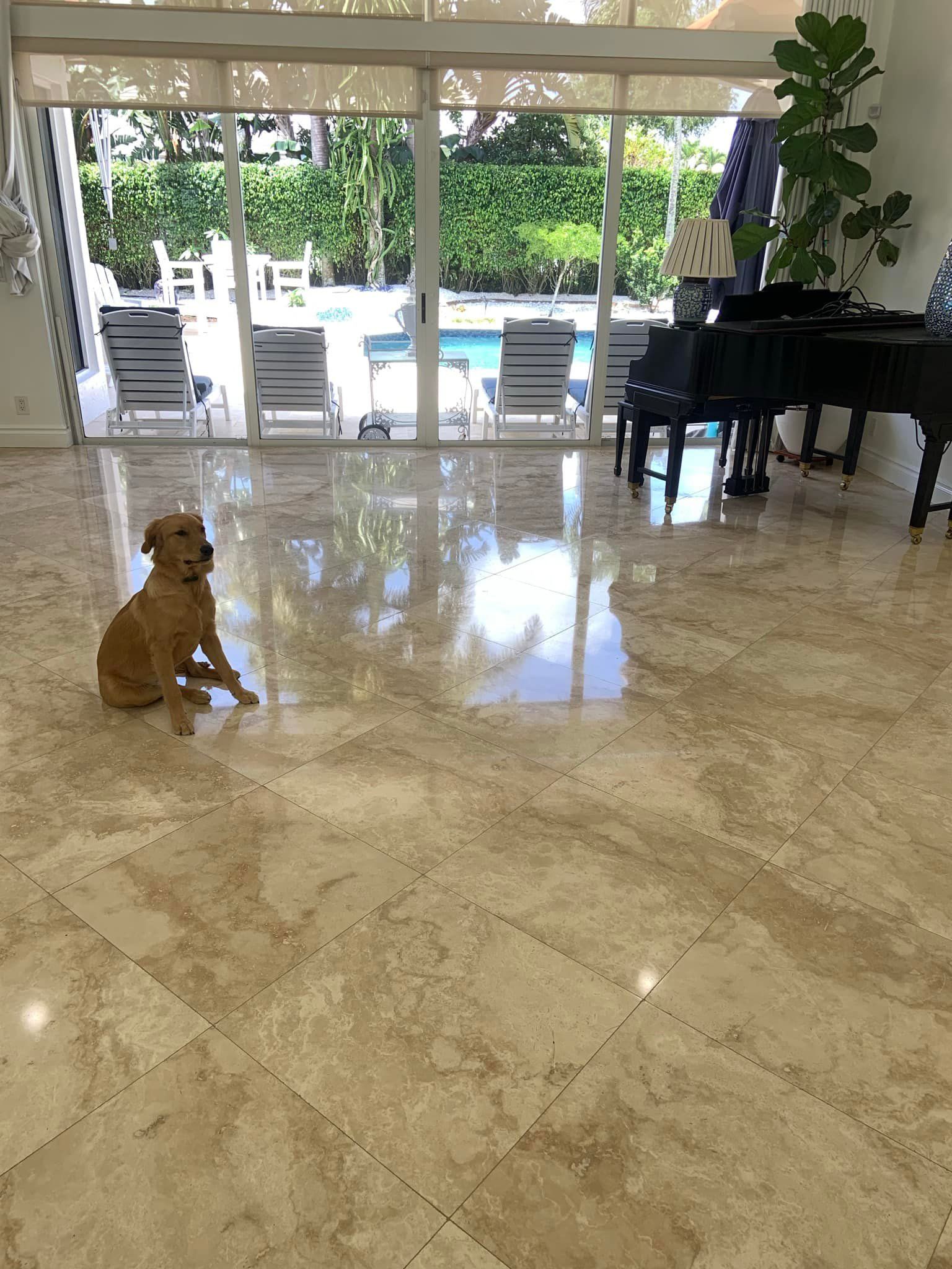  for Ultra Marble And Stone Restoration in West Palm Beach, FL