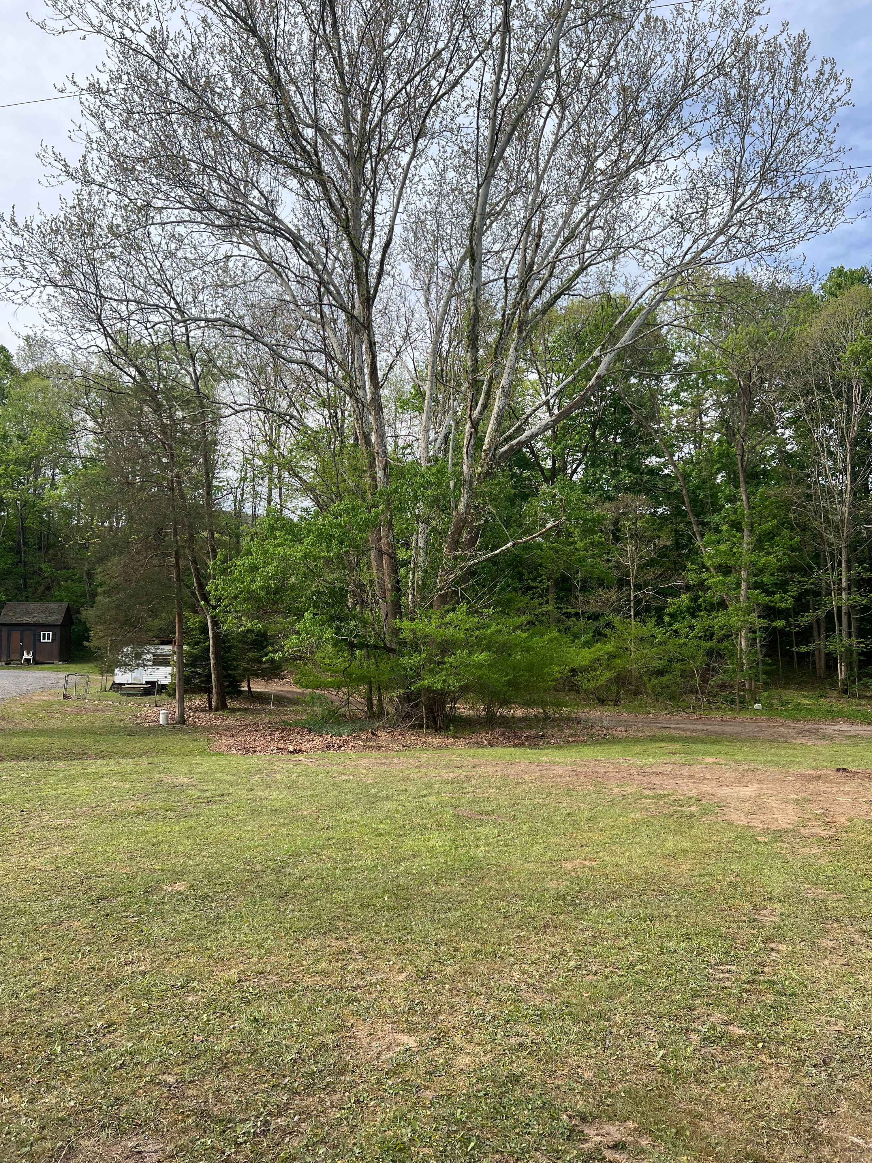 All Photos for Clarke Excavation Co. in Covington, VA