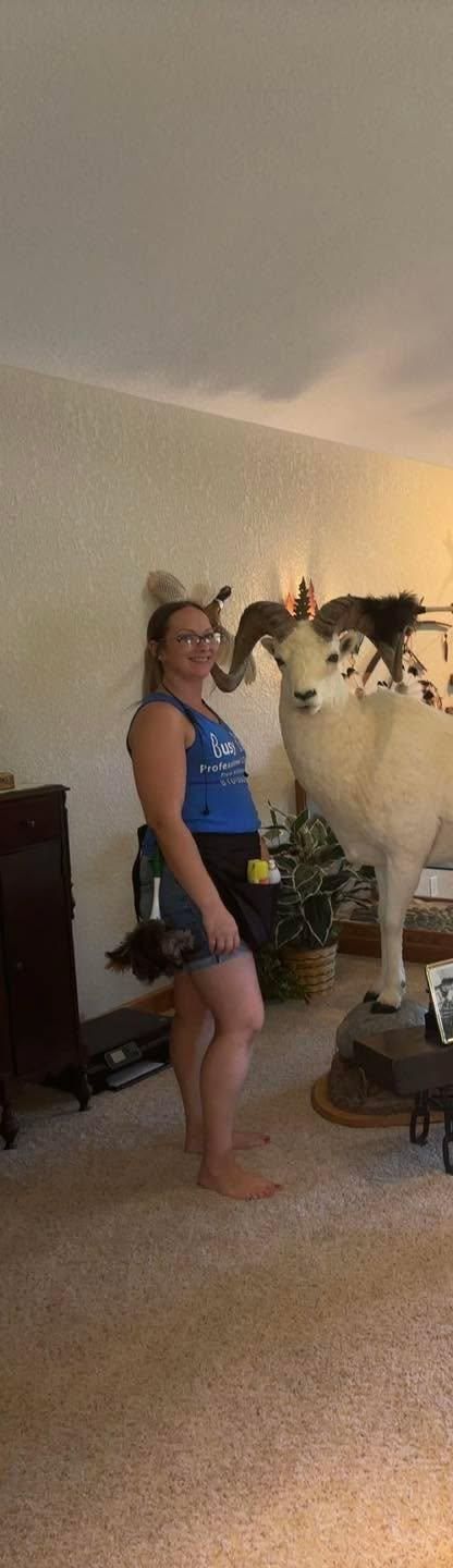 All Photos for Busy B's Professional Cleaning in Birch Run, MI