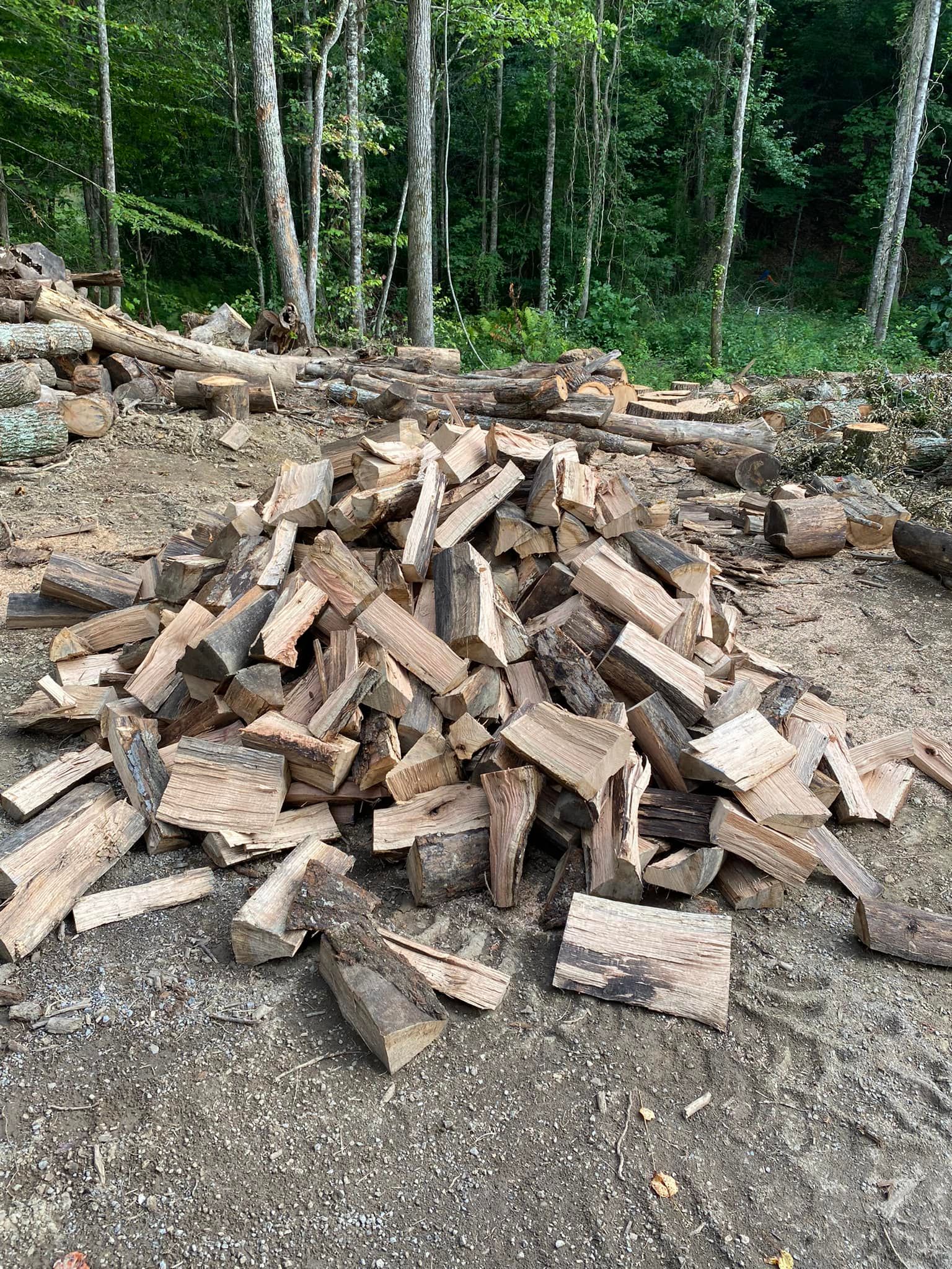 All Photos for Brocks Tree Service LLC in Rogersville, TN
