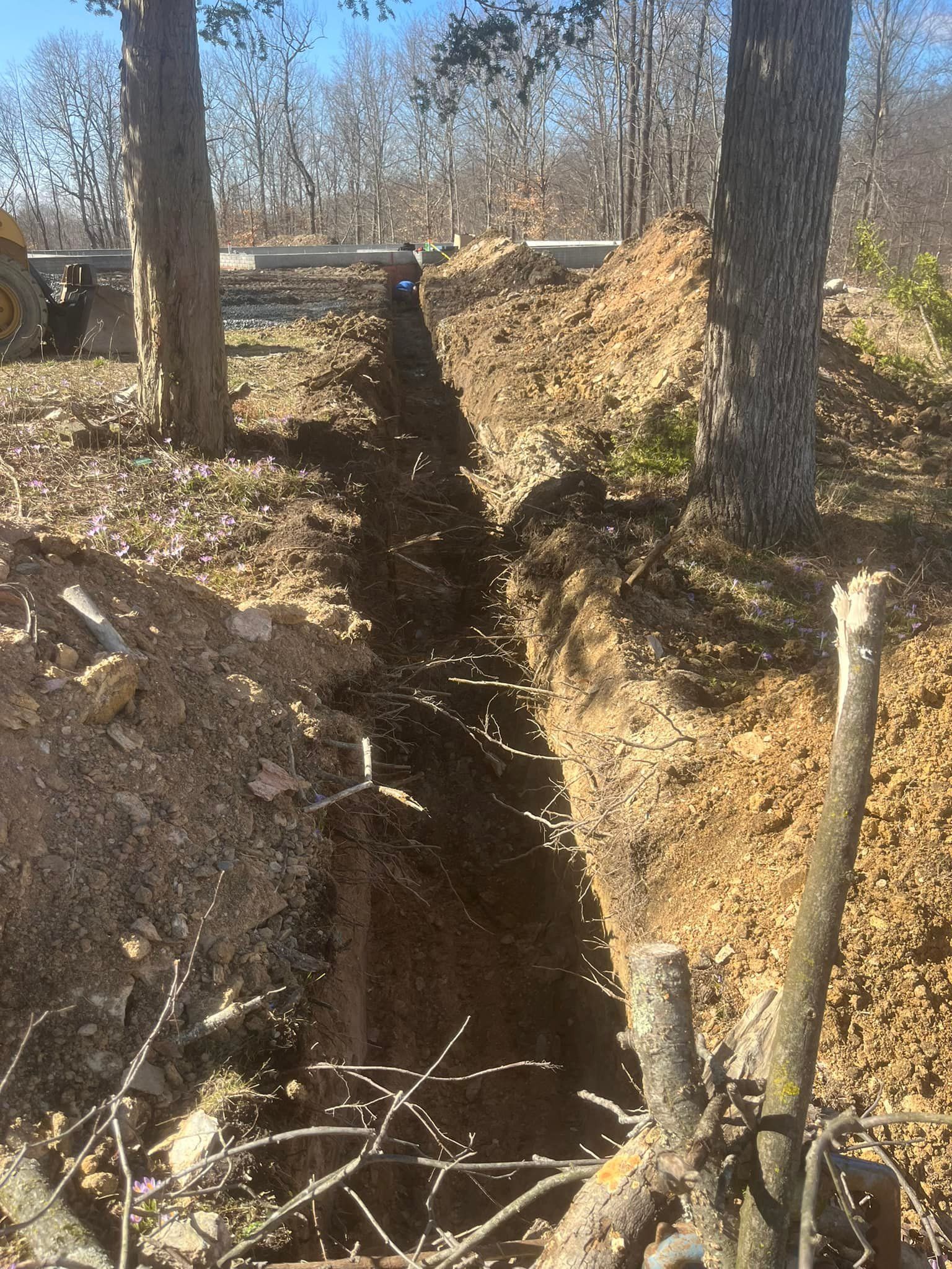  for Young’s lawns & landscapes in Thurmont, MD