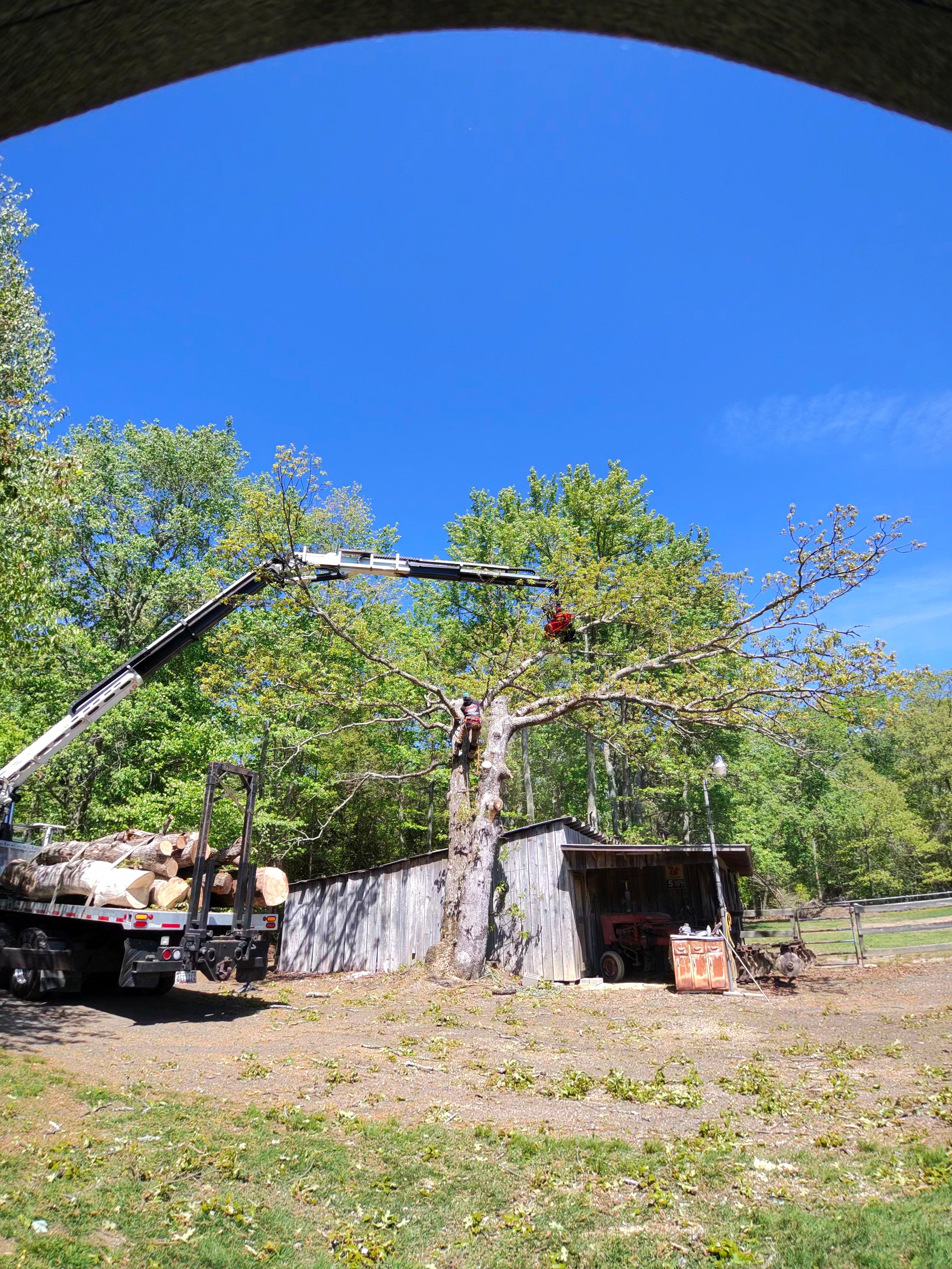  for Darbie's Tree Service in Newburg,  MD