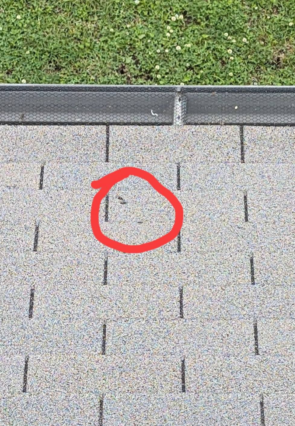  for Super Roofers in Dyersburg, TN