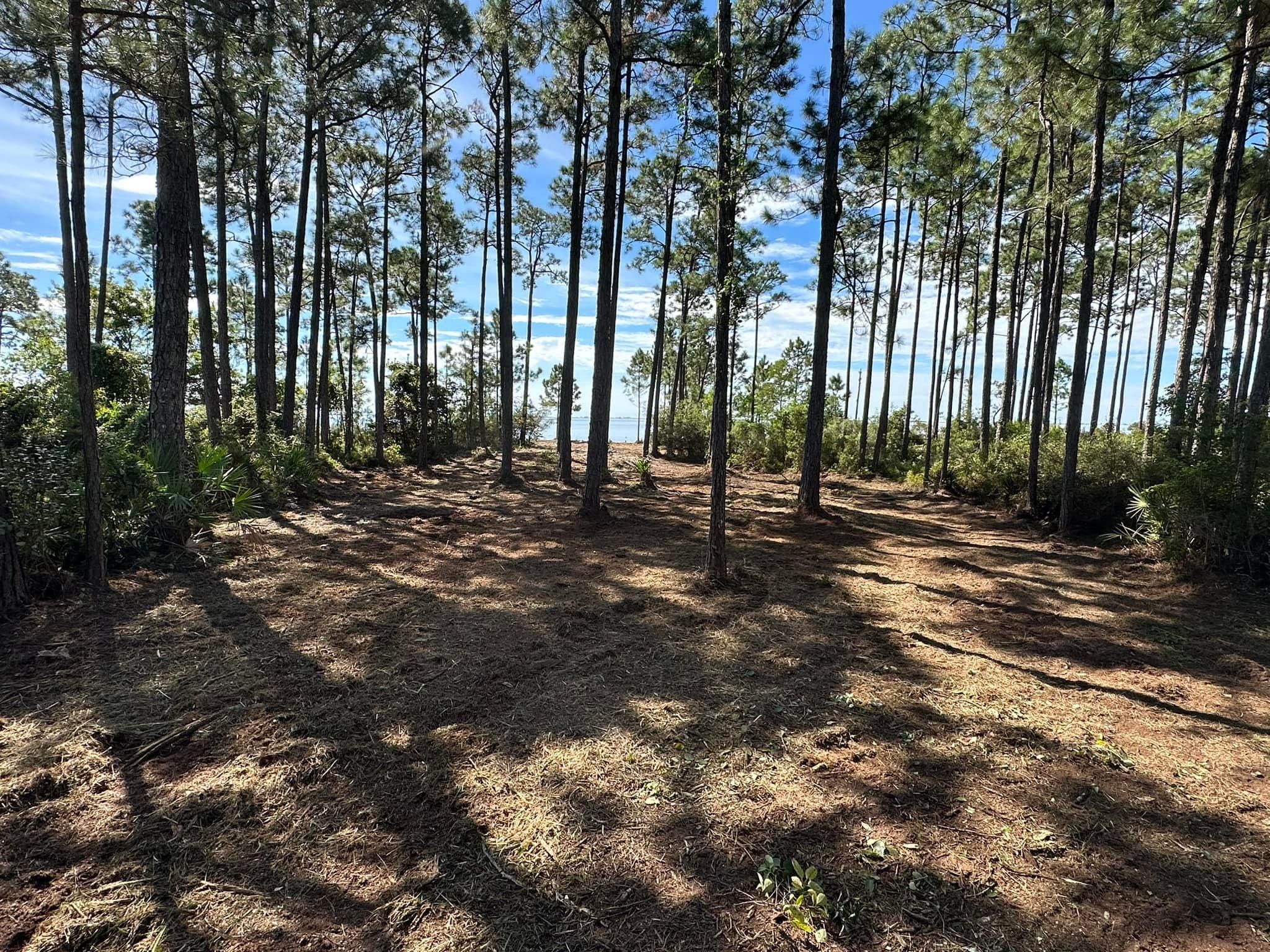 All Photos for White’s Land Maintenance in Milton,, FL