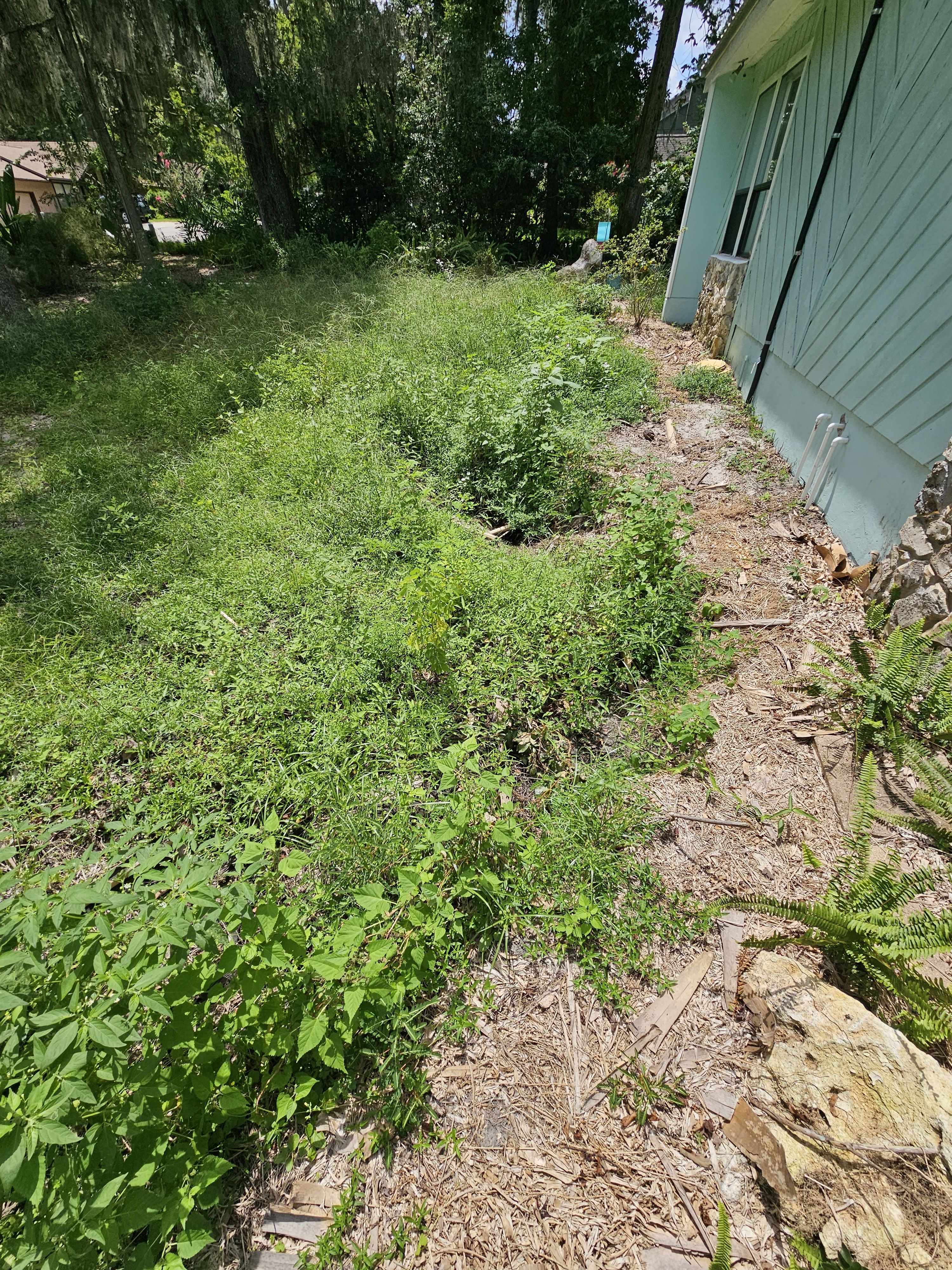  for Deeper Roots Landscape in High Springs, FL