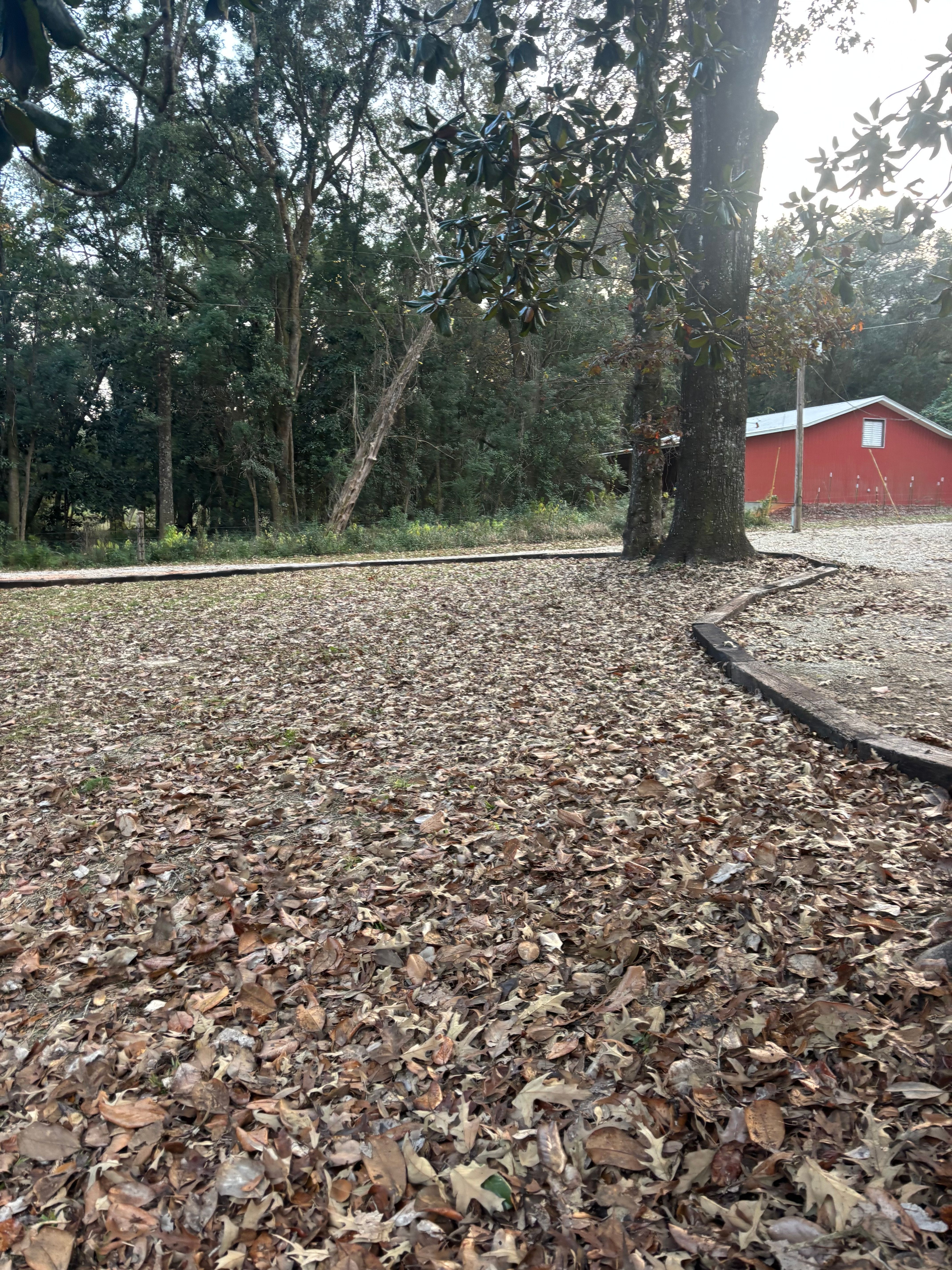  for Enhanced Landscape in Daphne, AL