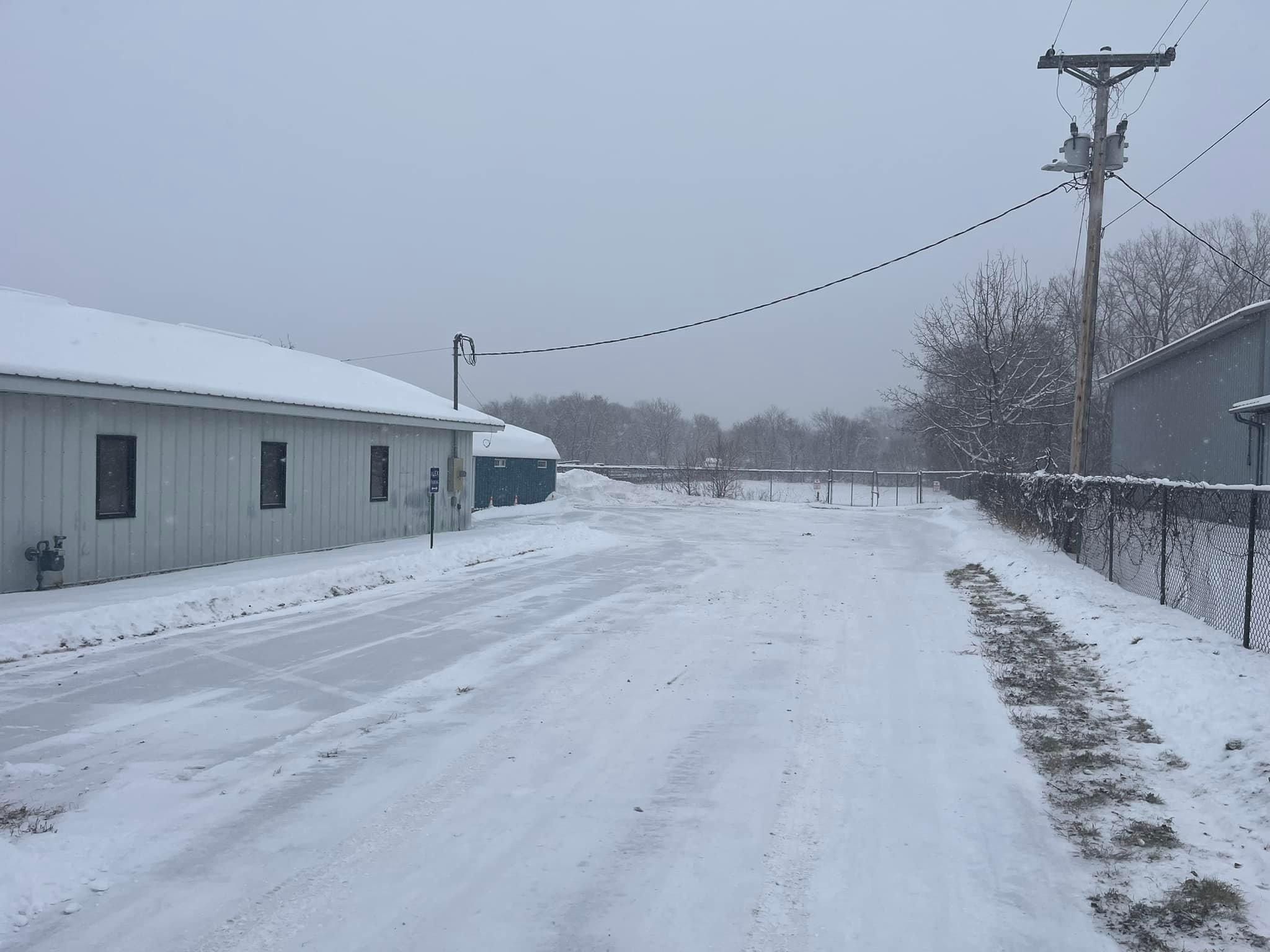 All Photos for K and Z Tree Care in Isanti County, MN