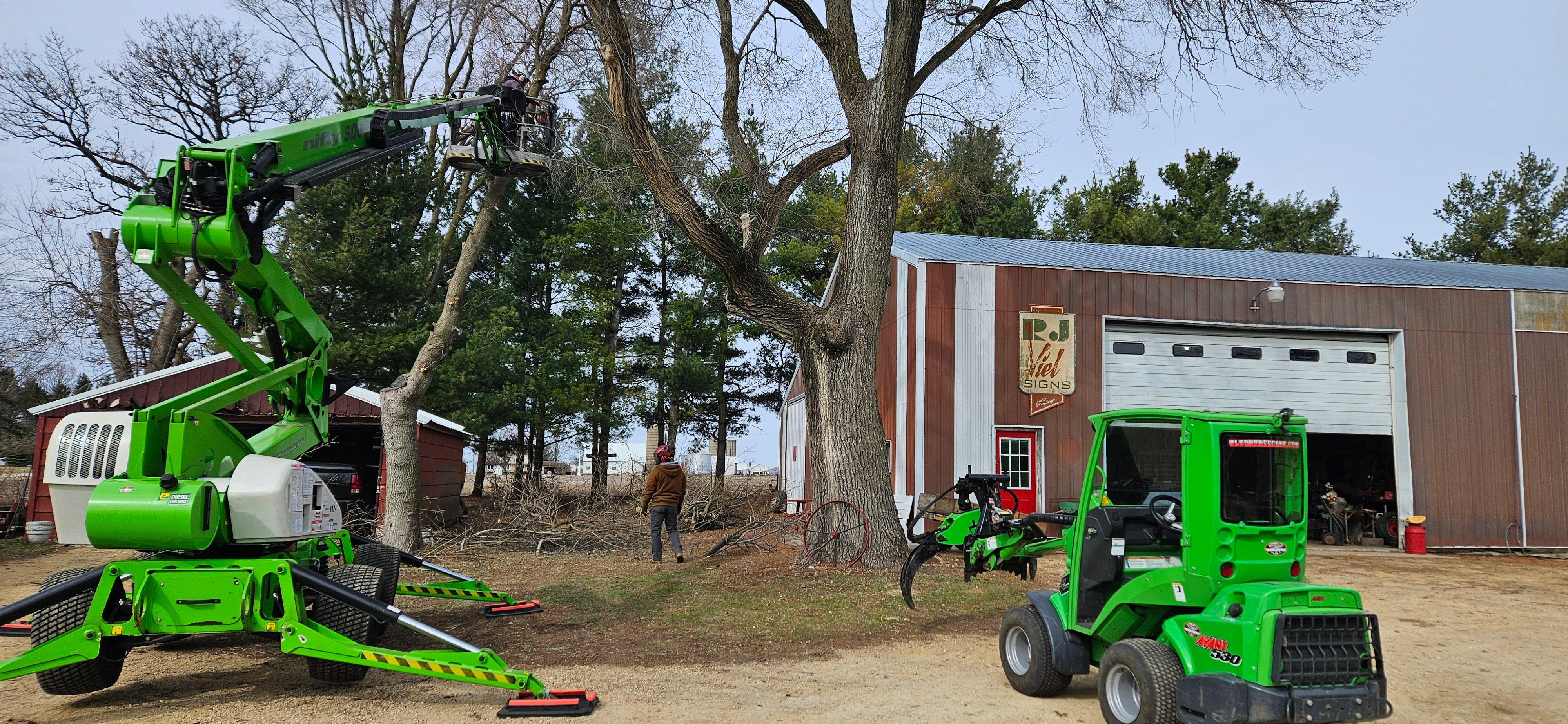 Tree Removal for Olson Tree Service, Inc in Rockford, IL