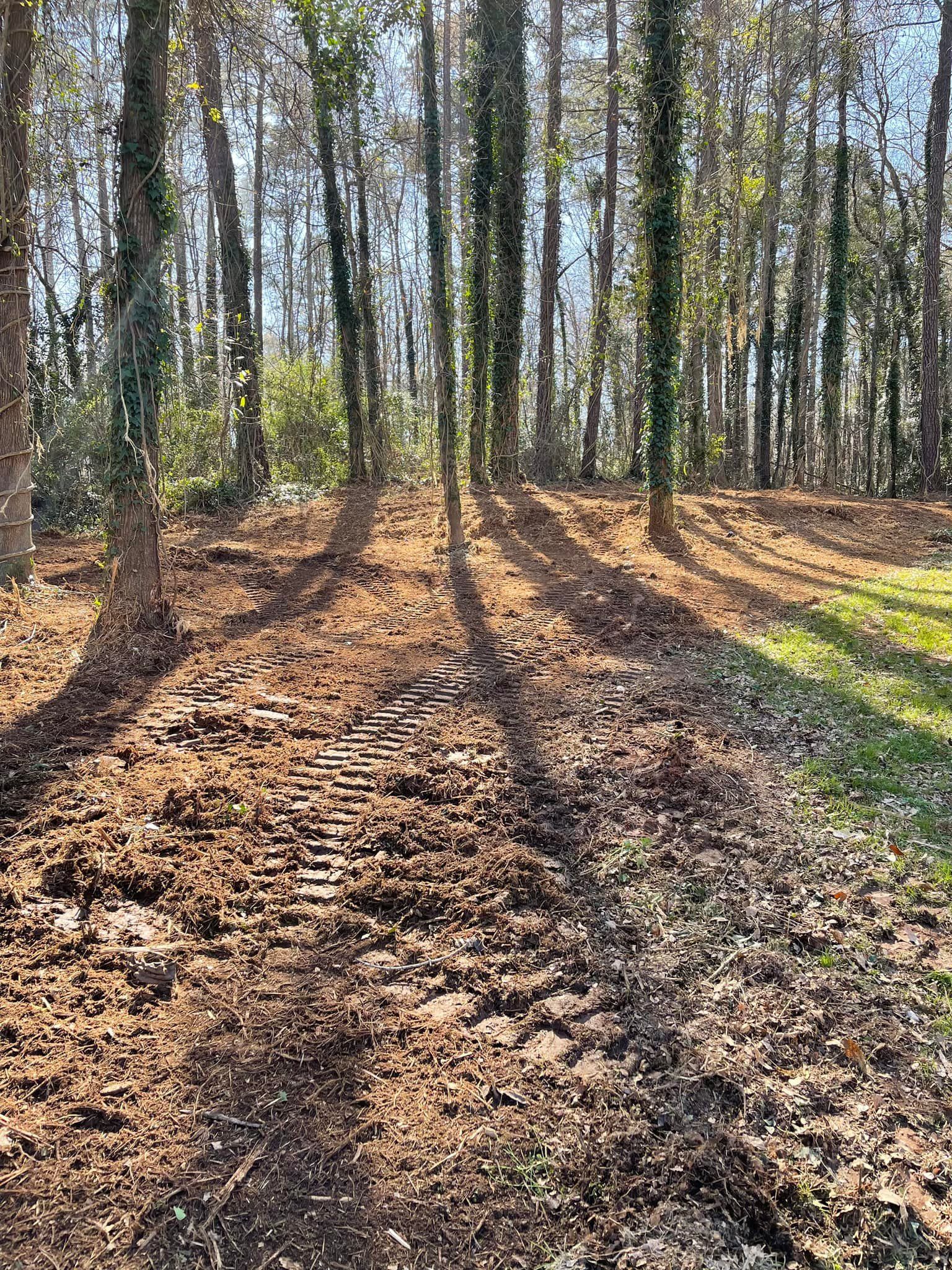 Land Clearing for G&H Forestry Mulching and Land Services in Fayetteville, GA