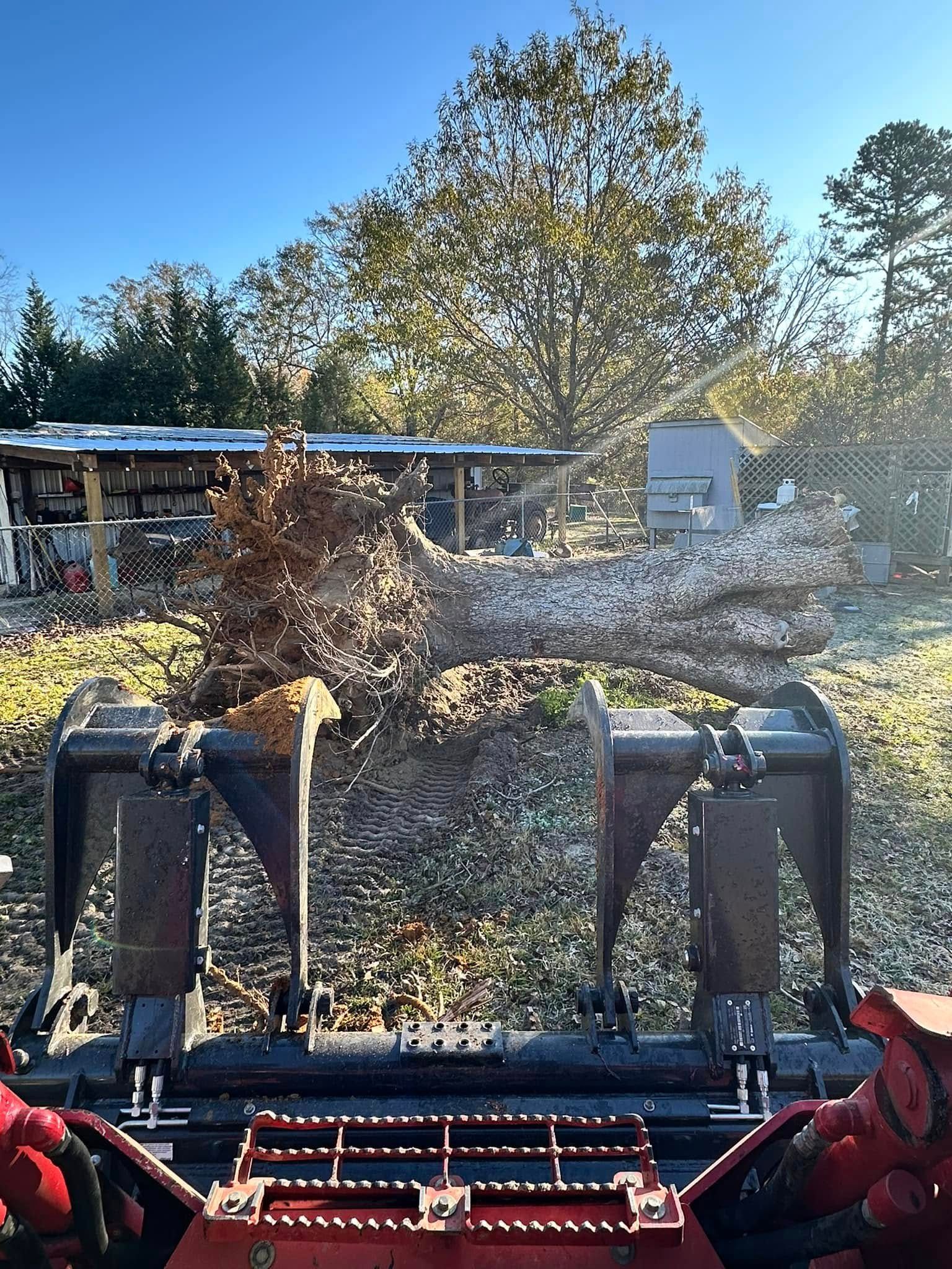 Tree Removal for Page Outdoor Services in Wrightsville, GA