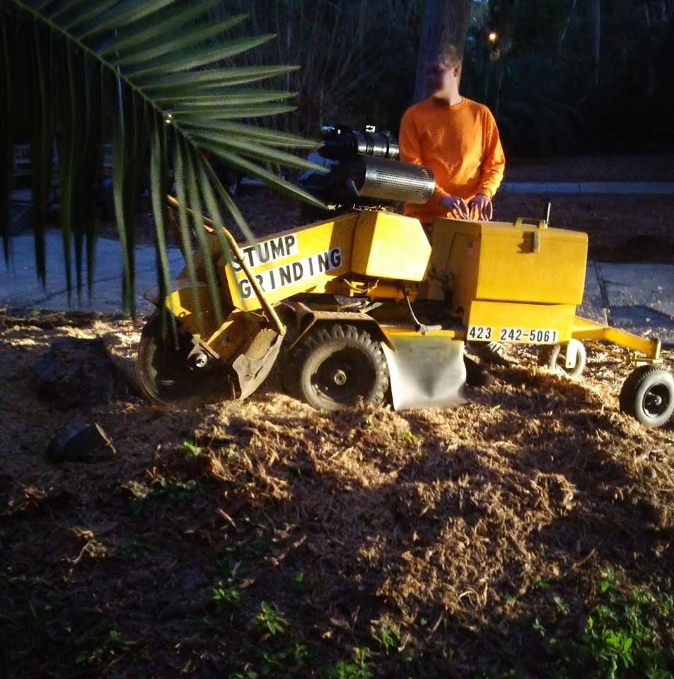  for Professional Tree Service USA in Chattanooga, TN