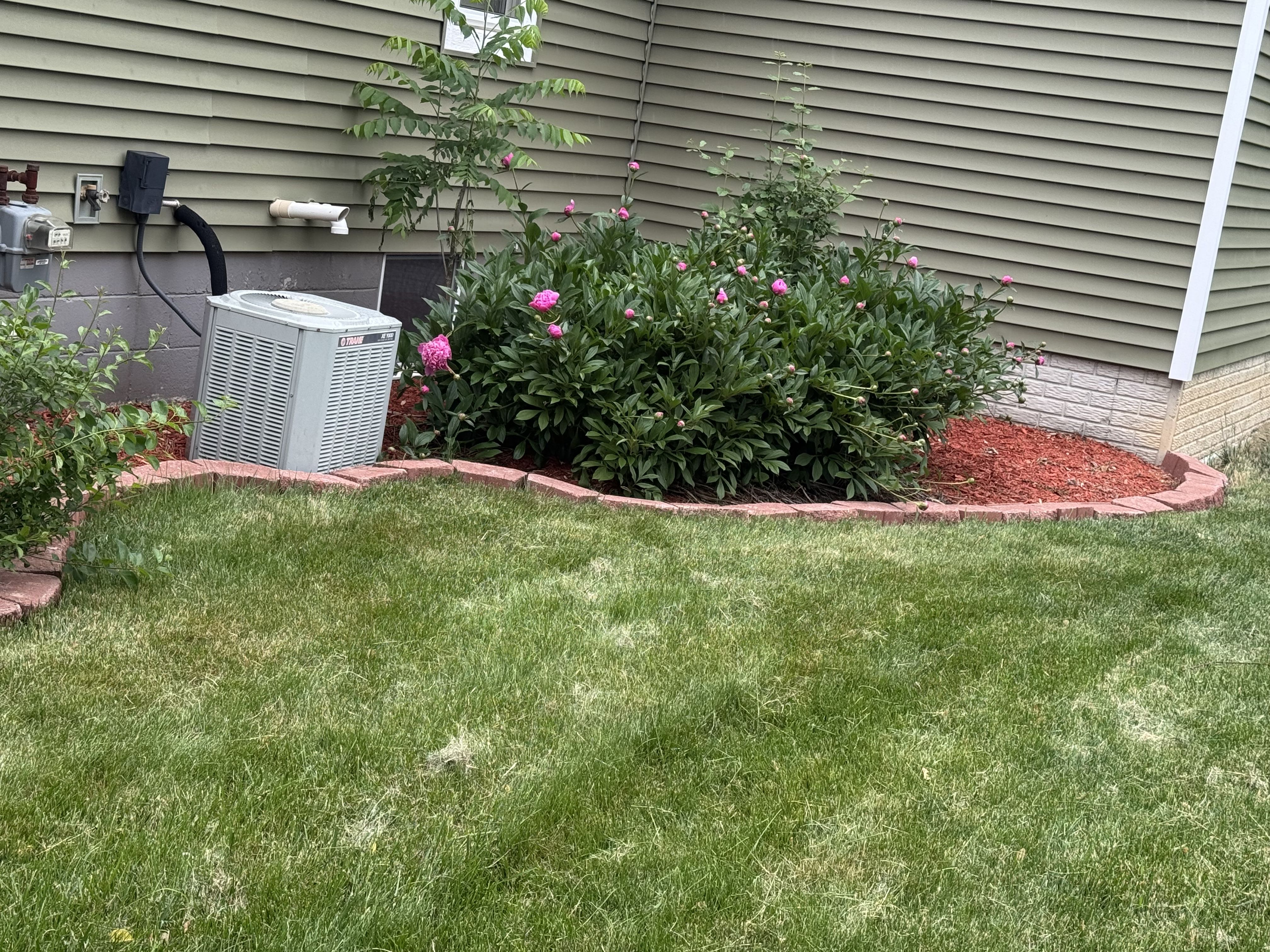  for Daugherty's Tough Lawn Care in Essexville, MI