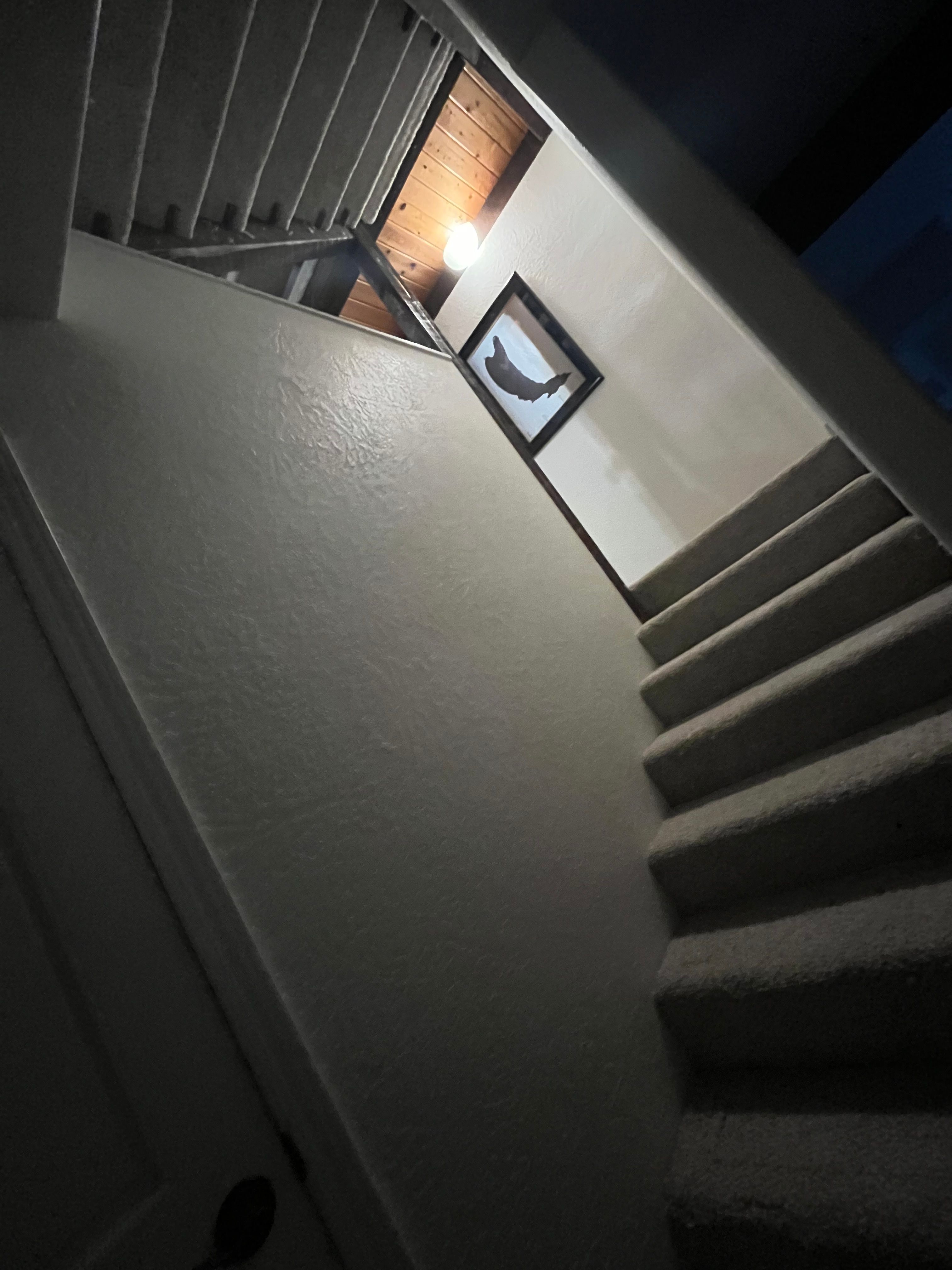  for Precision Floor Coverings LLC in Sheridan, OR