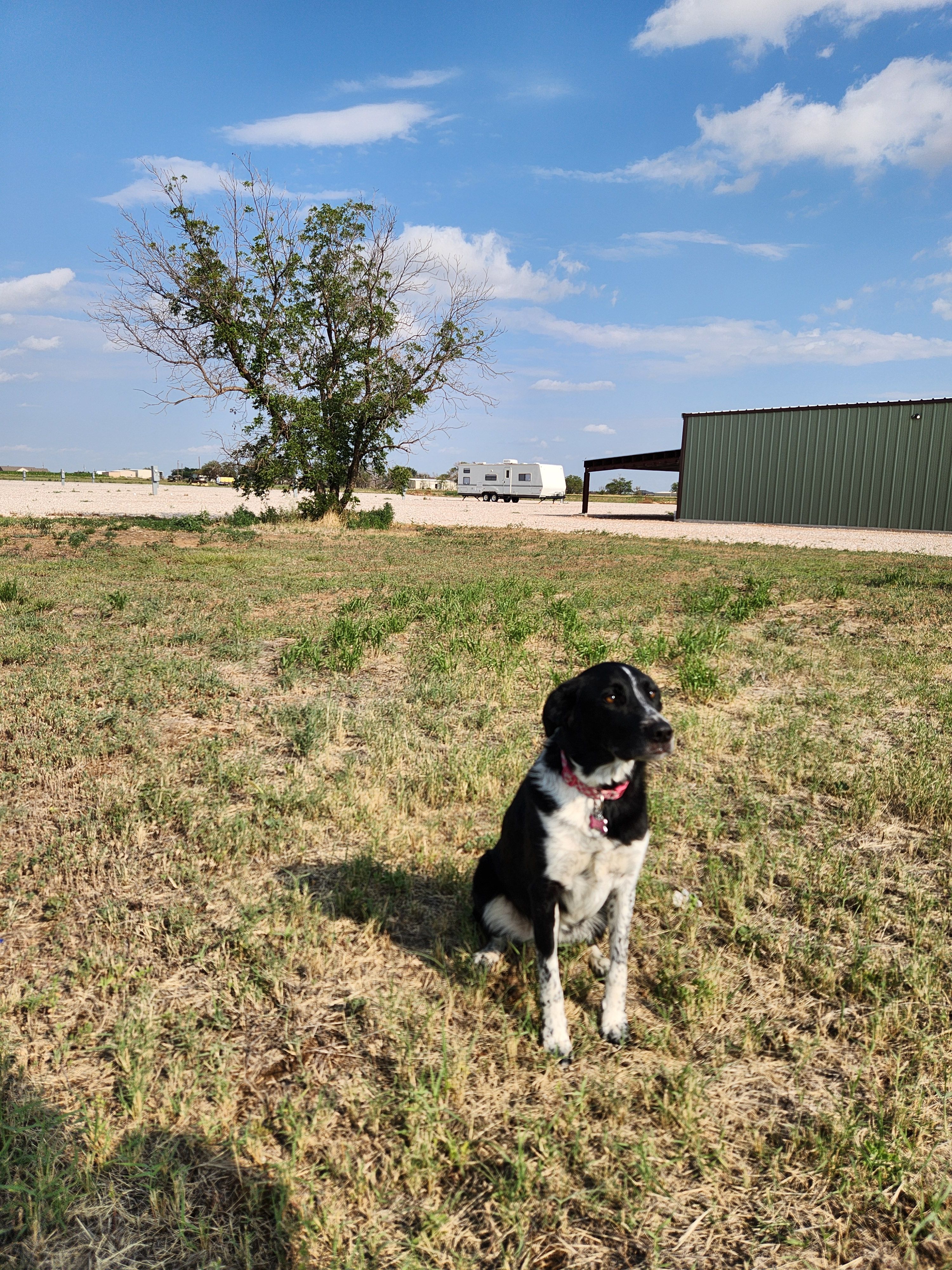 All Photos for Prairie Land Properties LLC in Lubbock, TX