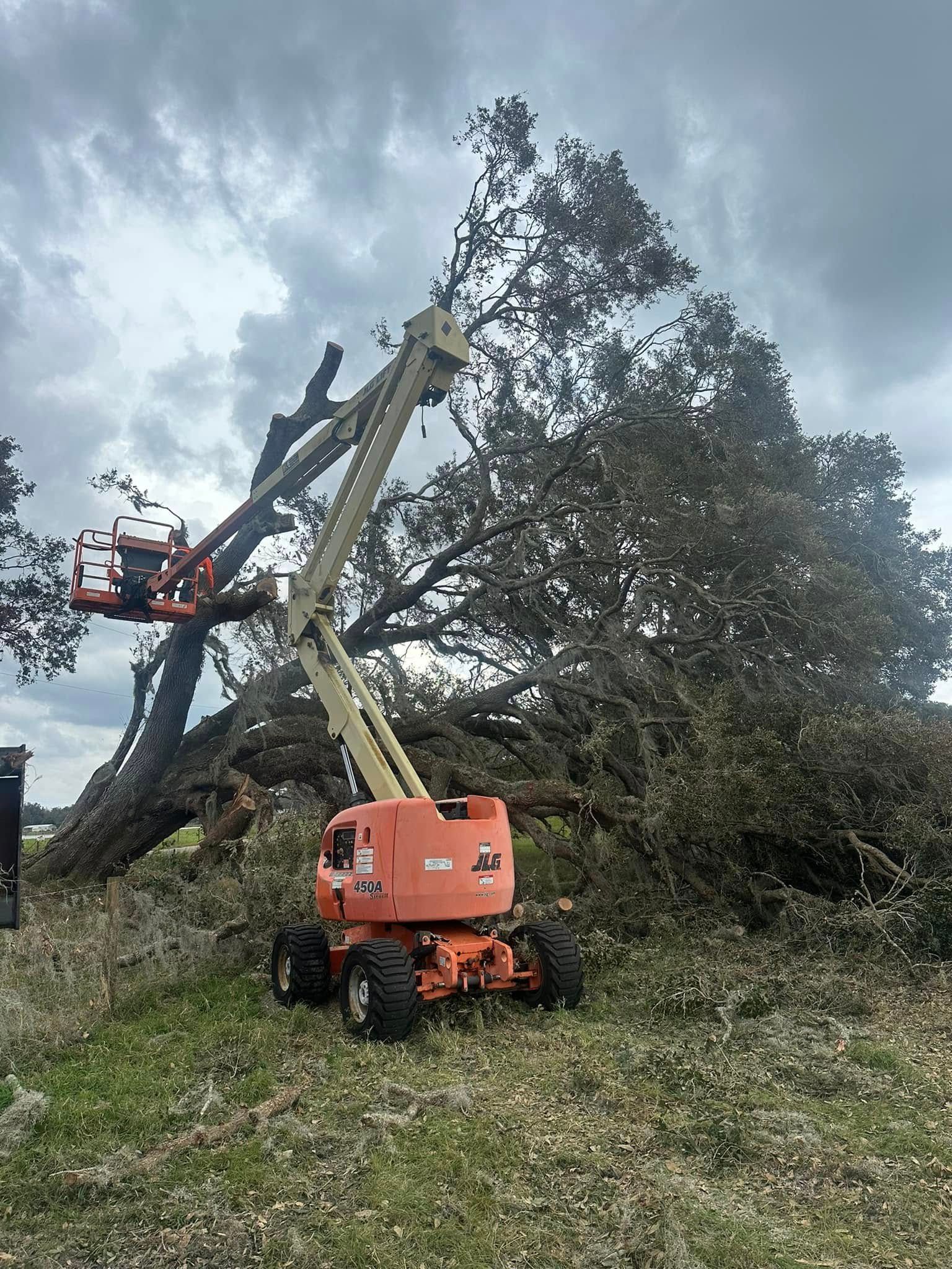  for Orange Cypress Land Services in DeLand, FL