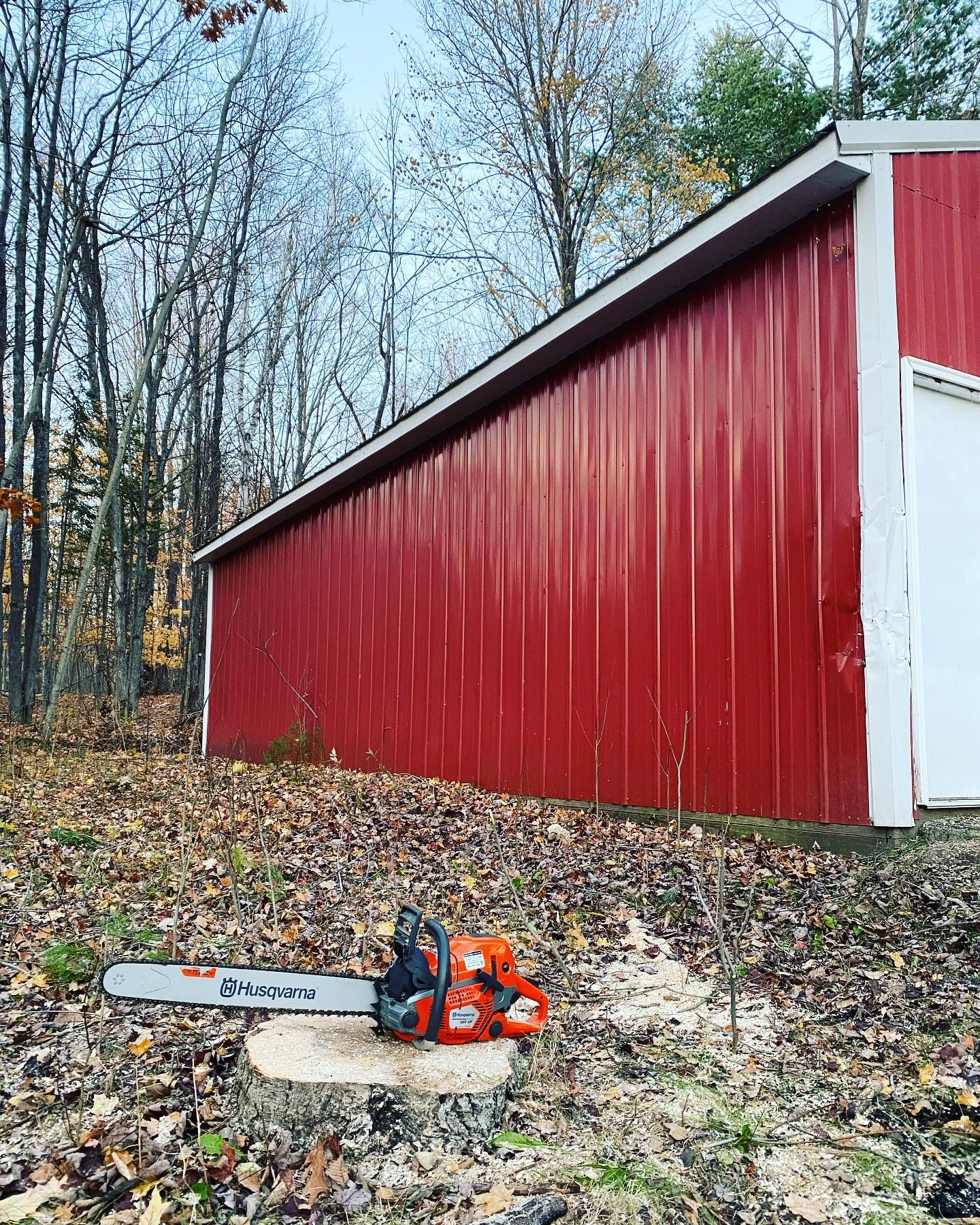 Tree Removal for Bear Creek Tree Service LLC in Rudyard, MI