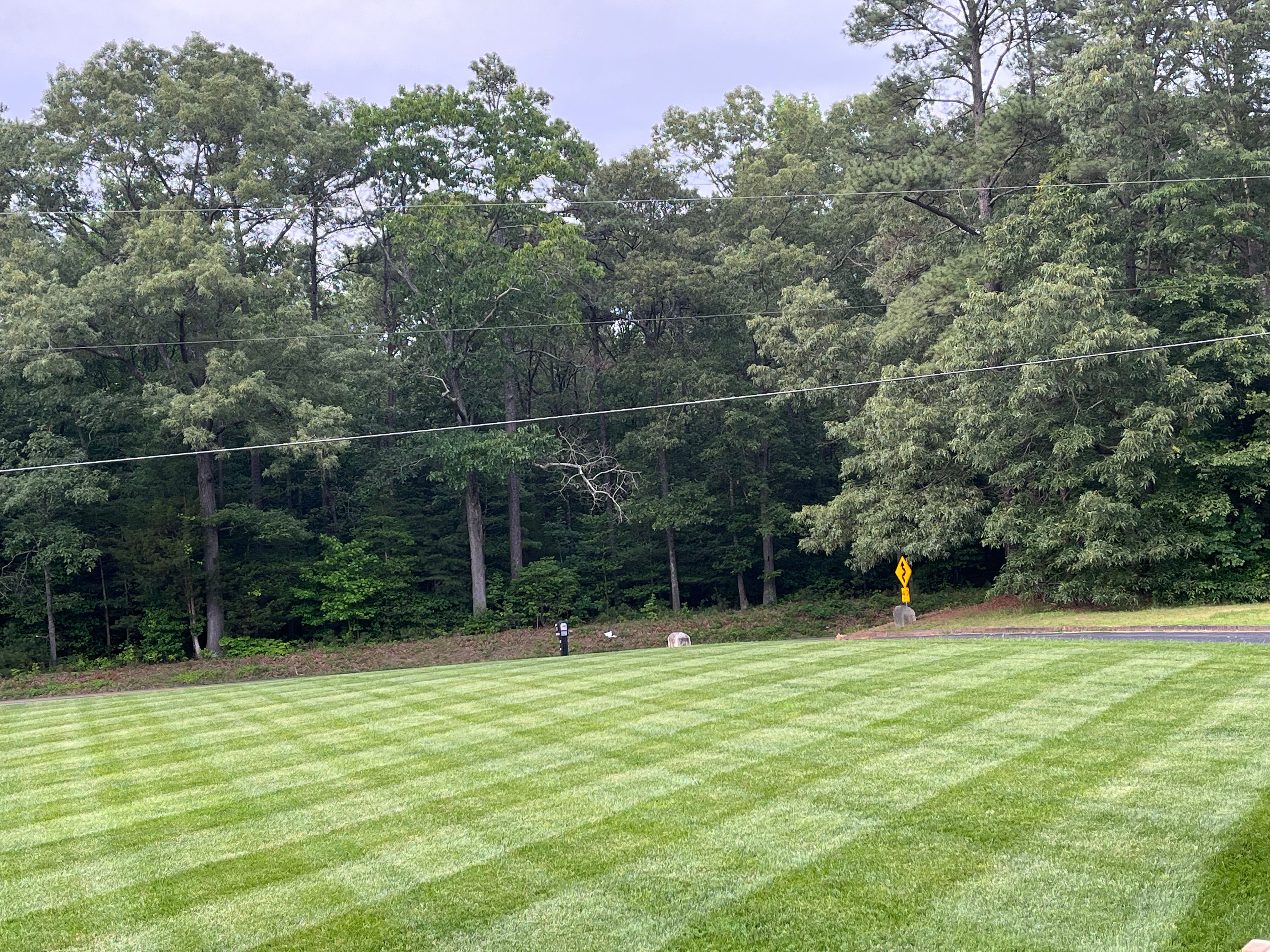  for Atlas Home Services in Mechanicsville, VA