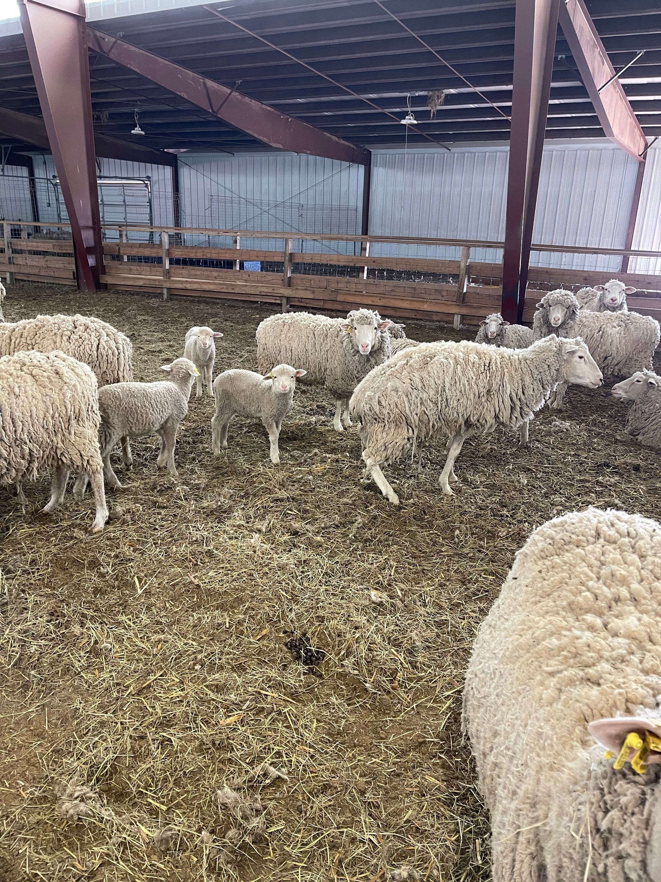 All Photos for Mr. Pipe Dreams LLC in Colorado Springs, CO