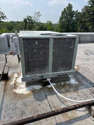 All Photos for Park Place Property Maintenance in Essex County, NJ