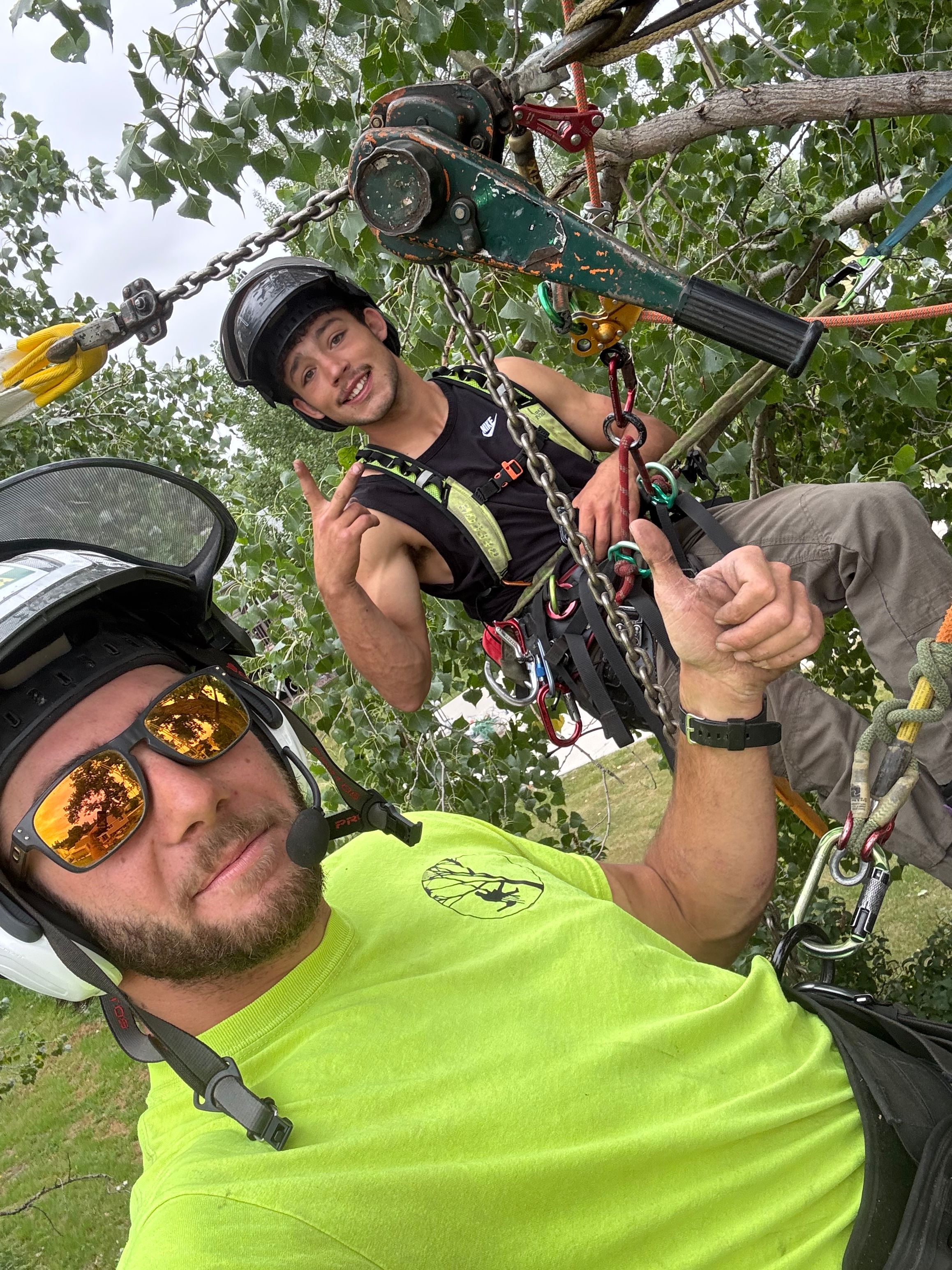  for Clean Cut Tree Service in Gillette, WY