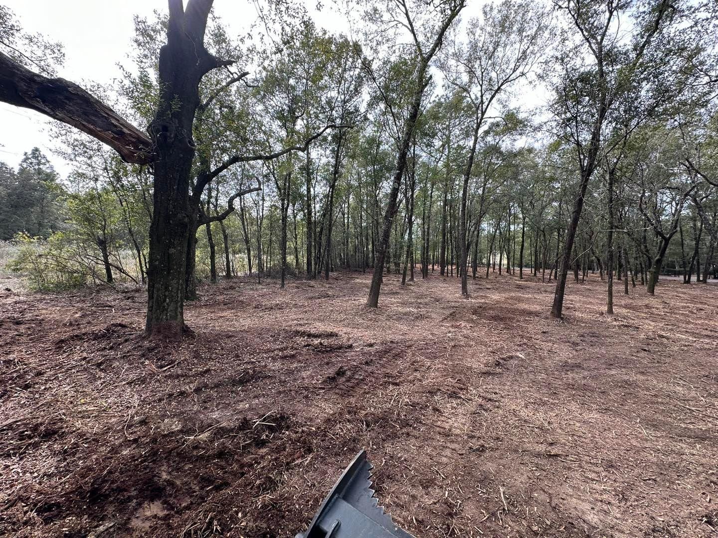 All Photos for White’s Land Maintenance in Milton,, FL