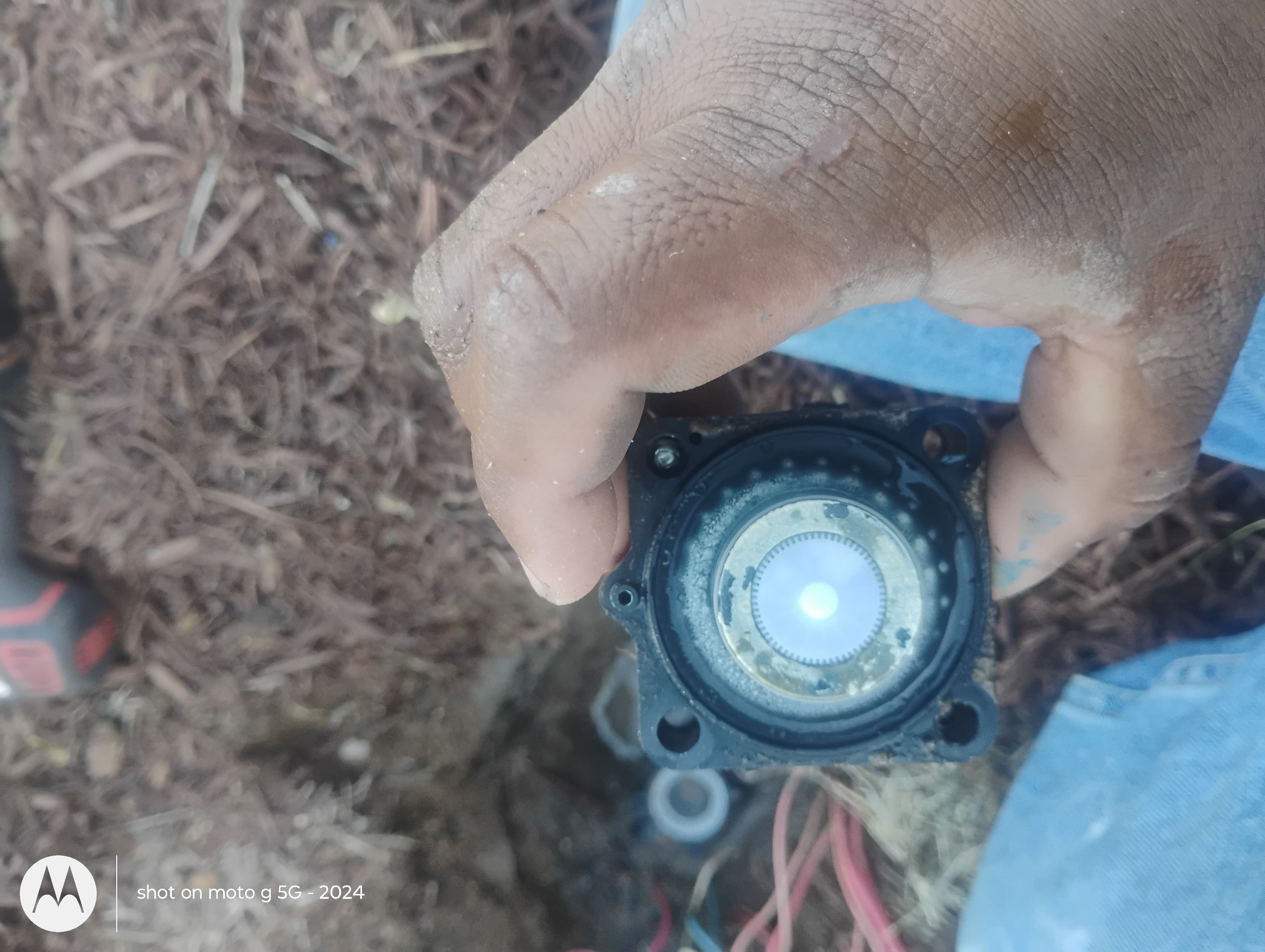  for Pro Lawn Care RGV in McAllen, TX