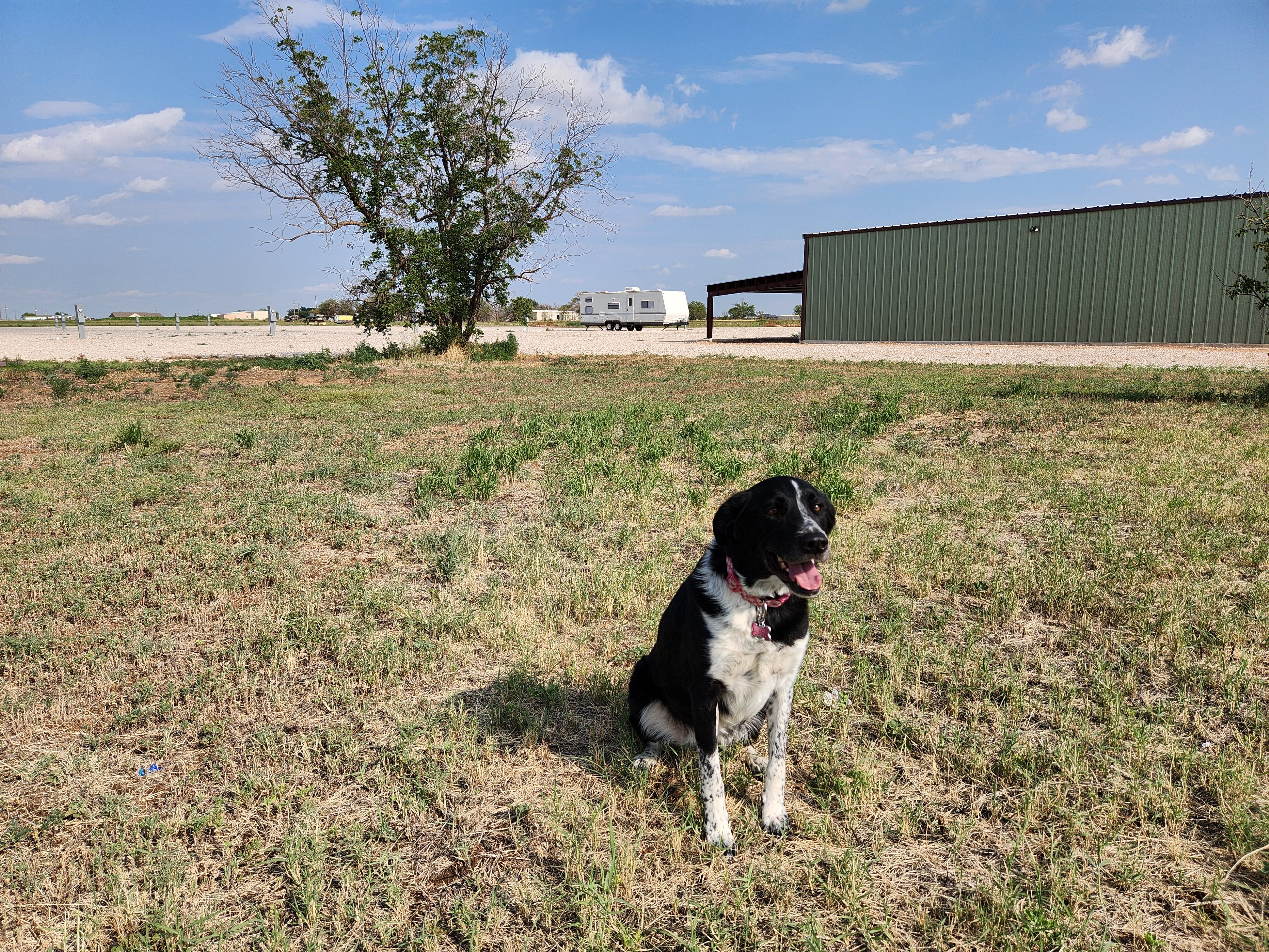 All Photos for Prairie Land Properties LLC in Lubbock, TX