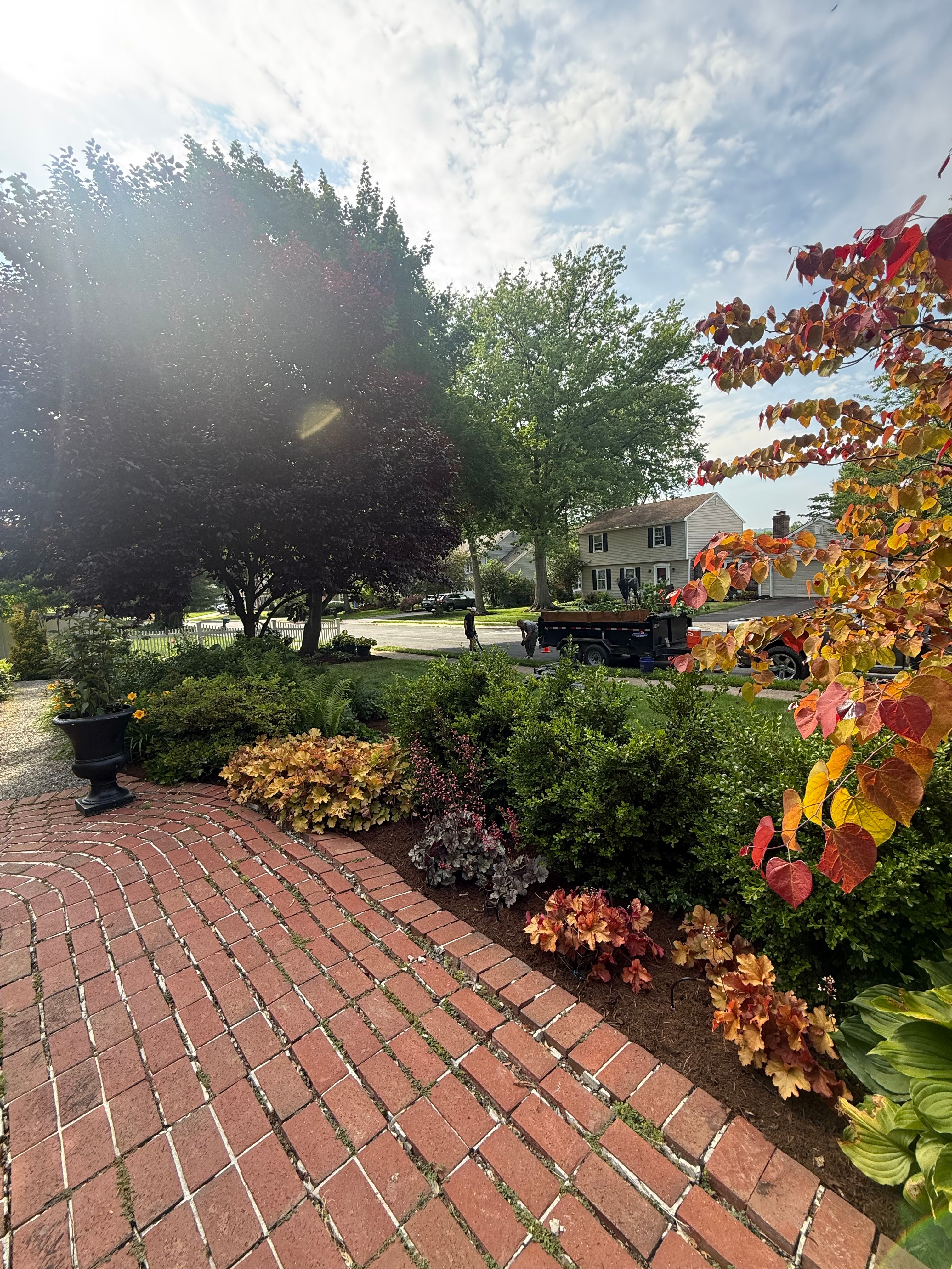  for Wiley Landscape Design in York, PA