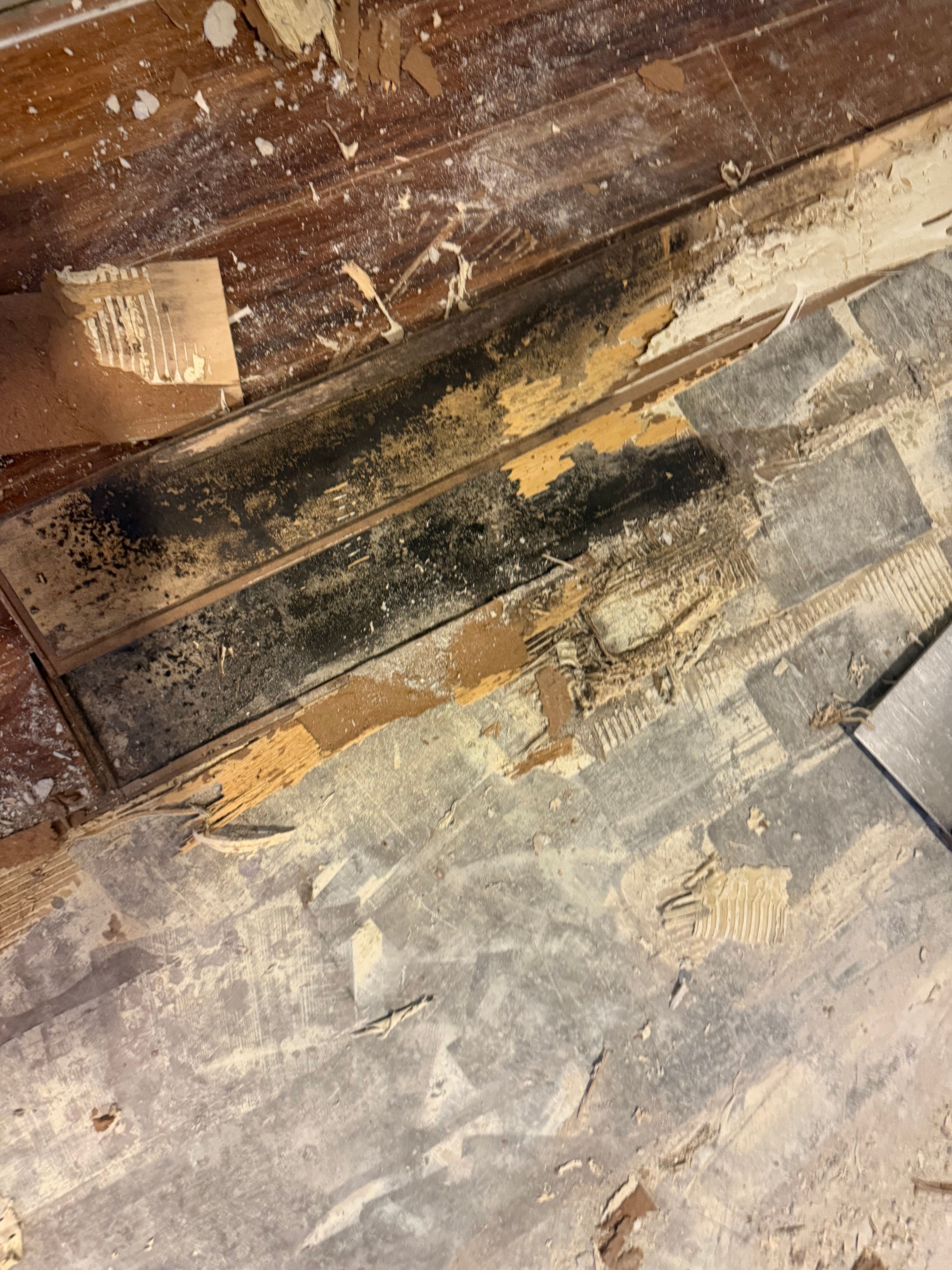  for N&D Restoration Services When Disaster Strikes, We Come In in Cape Coral,  FL