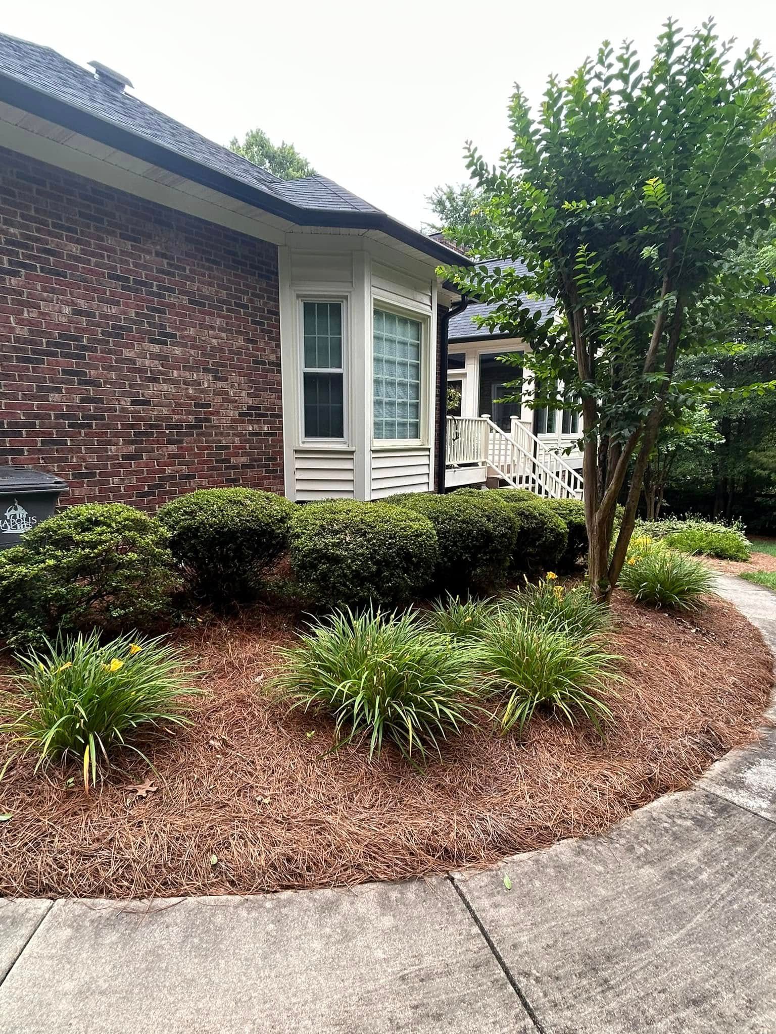 Landscaping for JMLP Lawn & Landscaping in Charlotte, NC