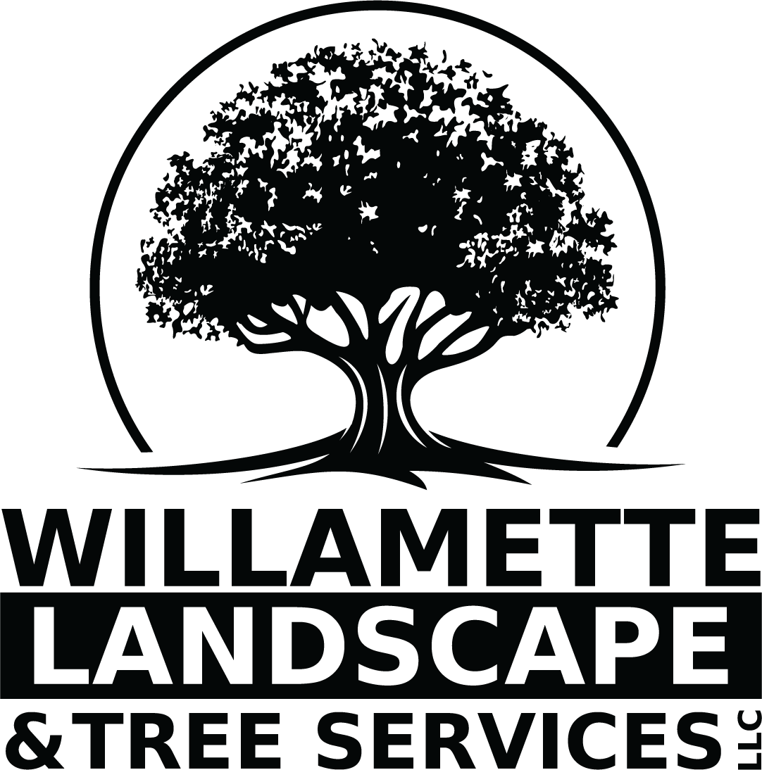  for Willamette Landscaping and Tree Services in Albany, OR