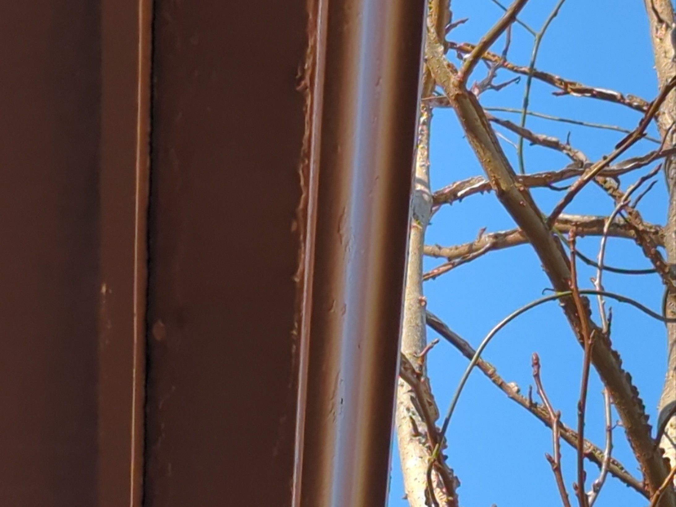  for Squeaky Clean Windows Gutters & More in Hoover, AL