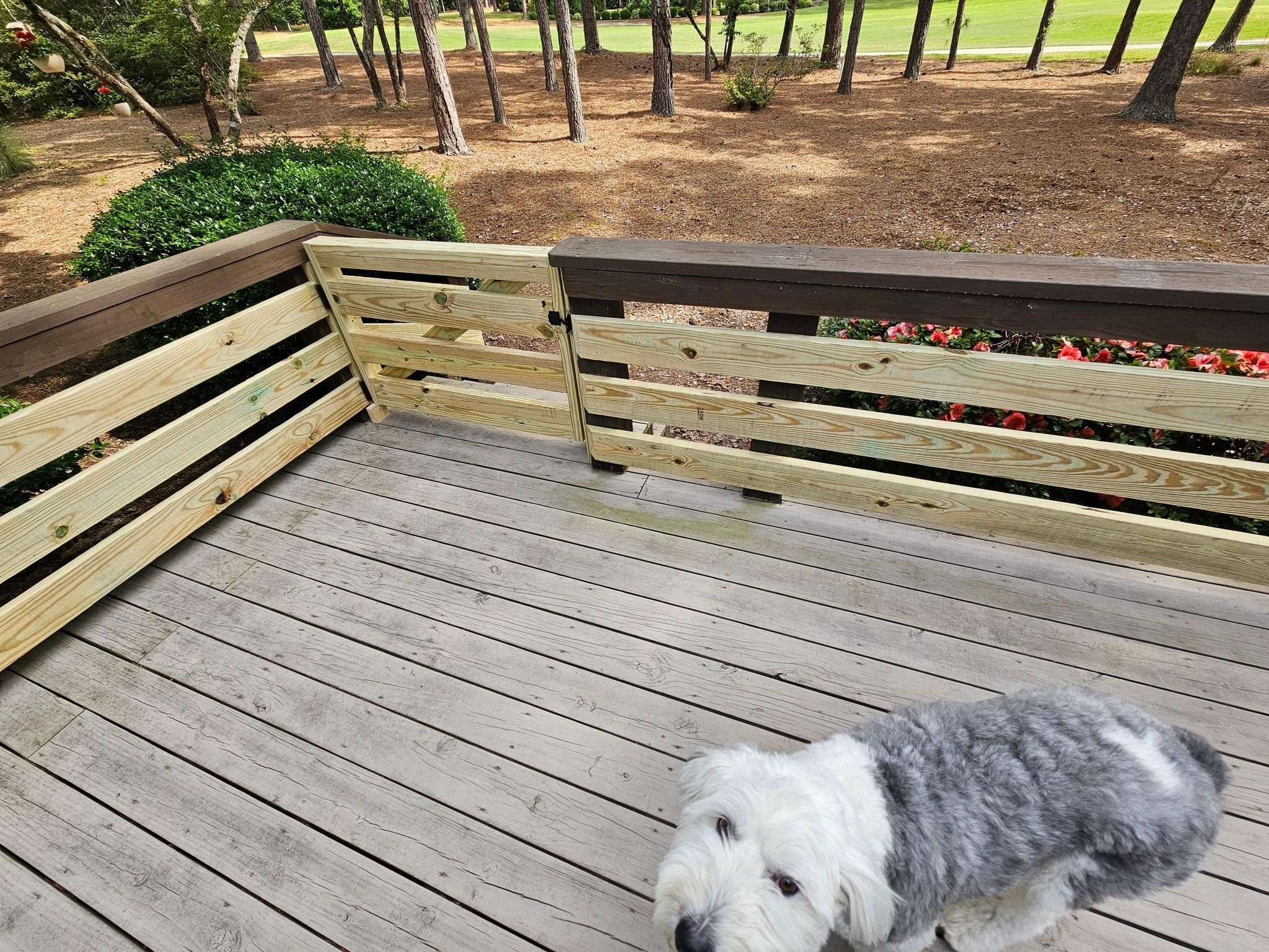 All Photos for MTR Contracting LLC in Robbins, NC