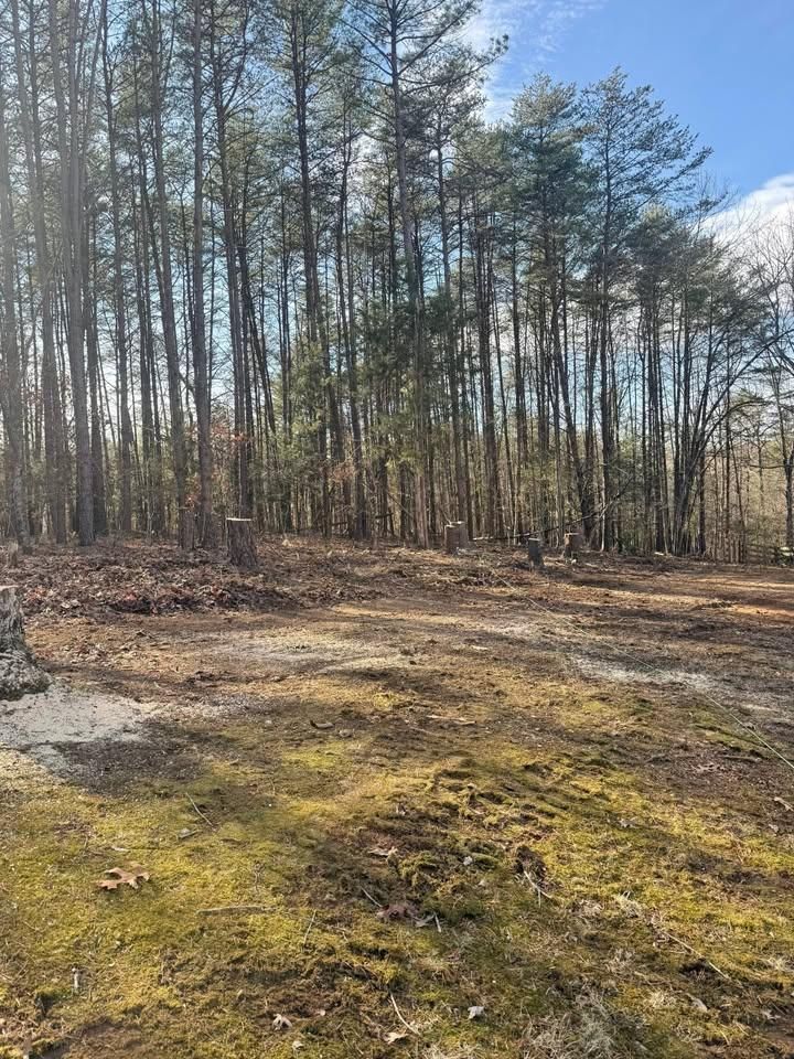  for Chiles Lawn & Landscaping in Gordonsville, VA