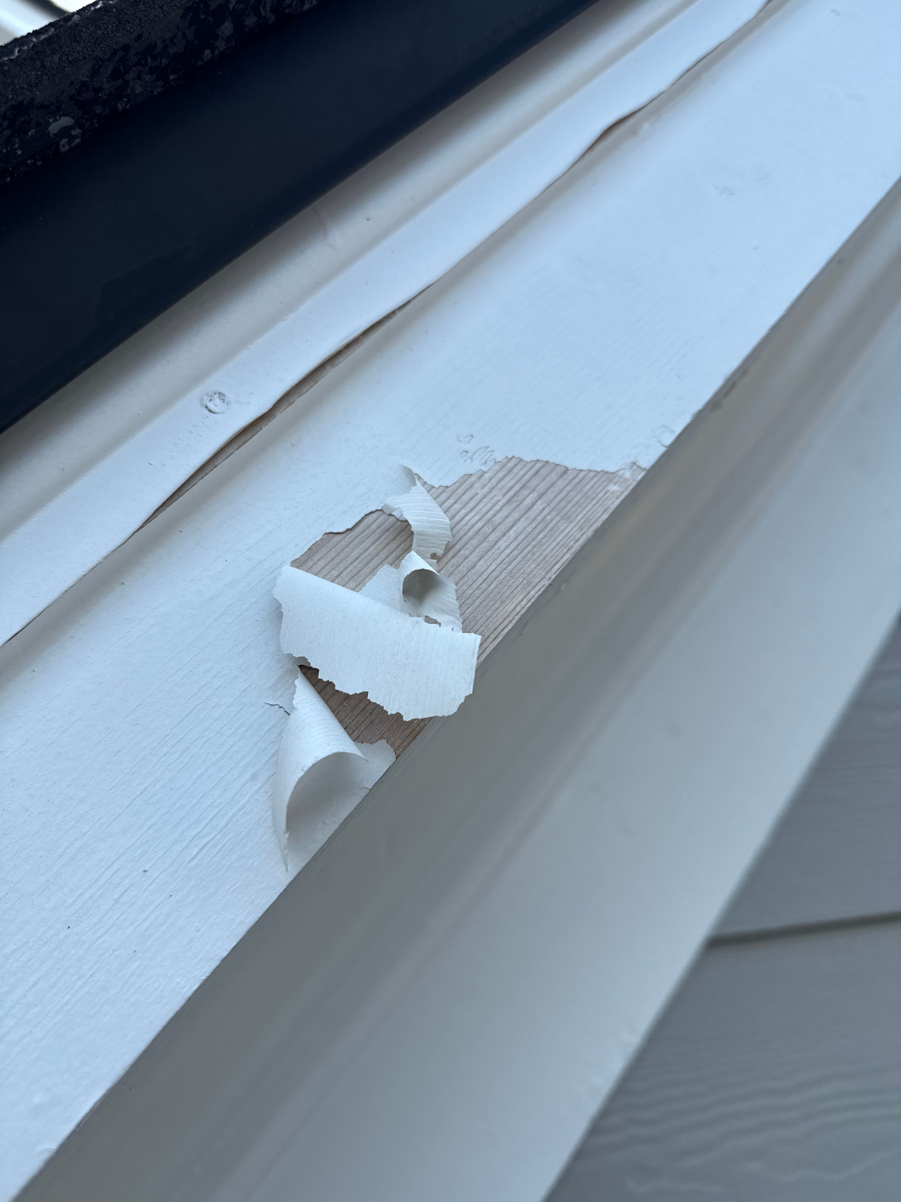  for A1 Phillips Painting in Cumming, GA