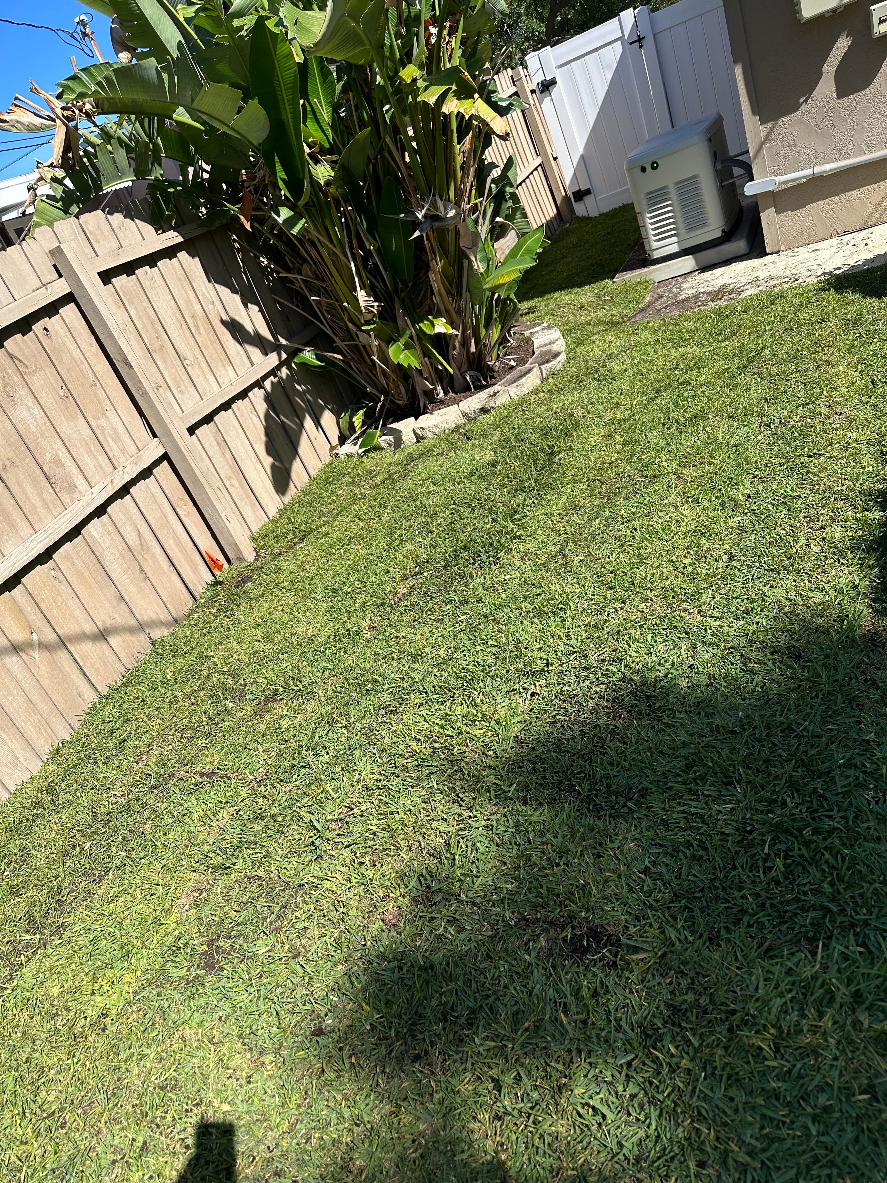  for Gulf Bay Sod in Clearwater, FL