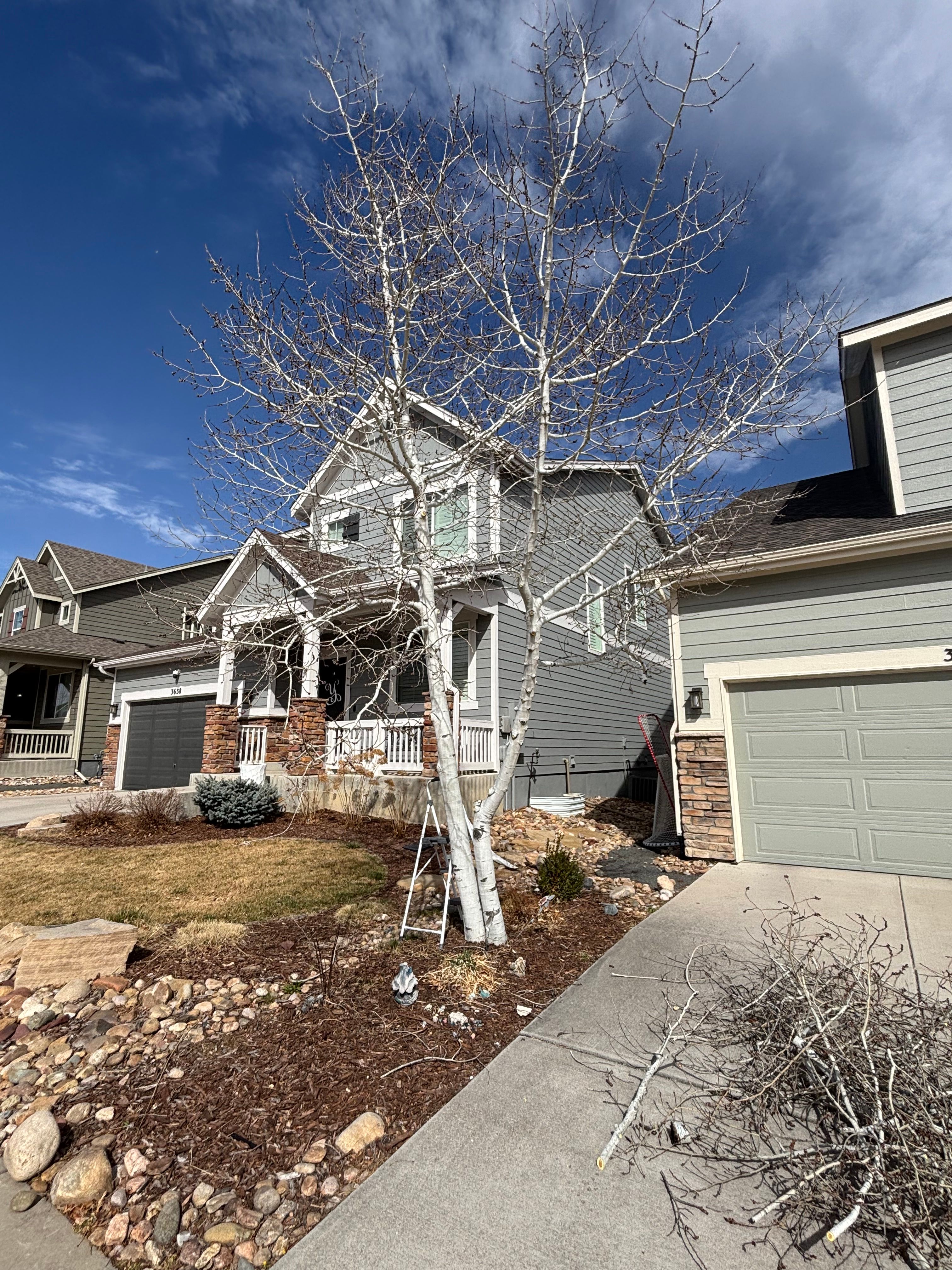 All Photos for Graham’s Tree Services in Pierce, CO