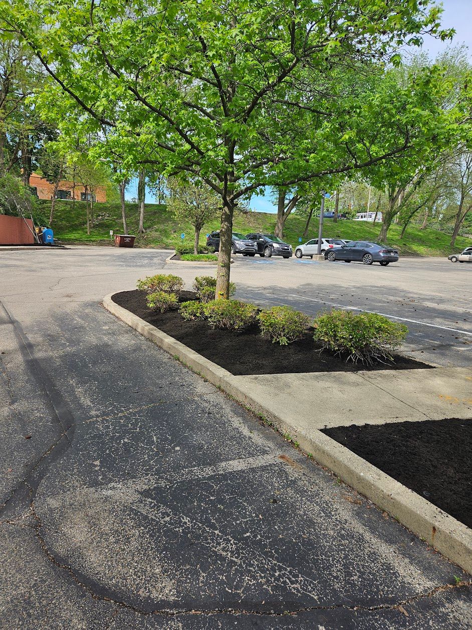  for Tel Ma Landscaping Maintenance LLC  in Urbana, OH