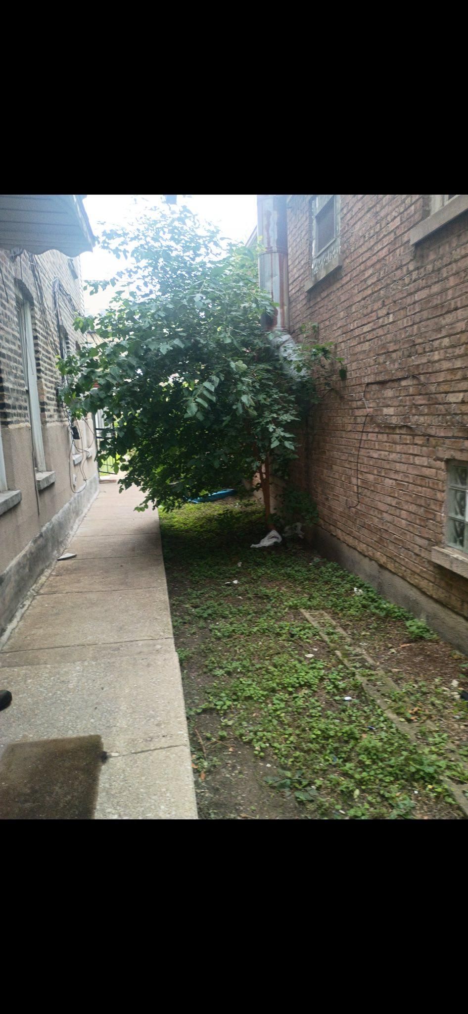  for Superior Lawn Care & Snow Removal LLC  in Chicago, IL