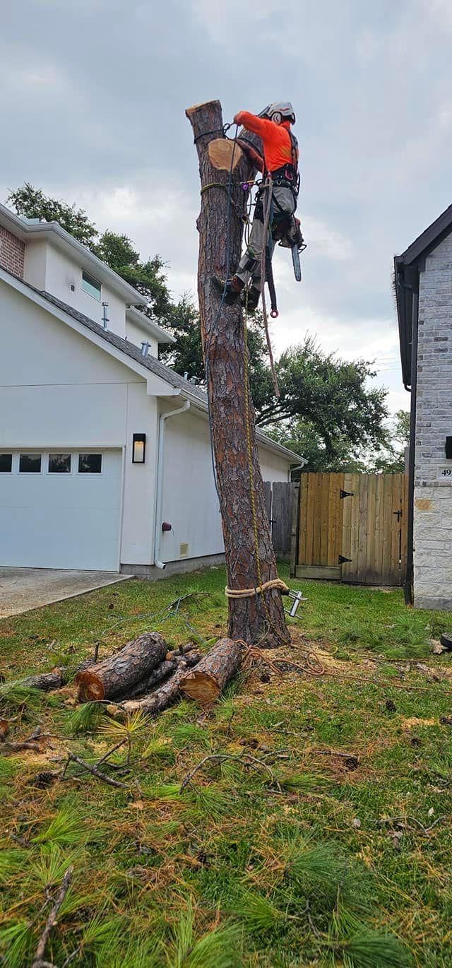  for Servin's Tree Care  in Houston, TX