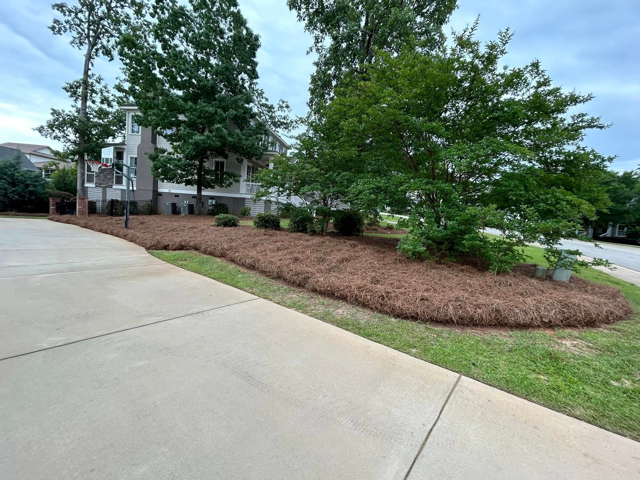 All Photos for Trophy Outdoor Solutions in Lexington, SC